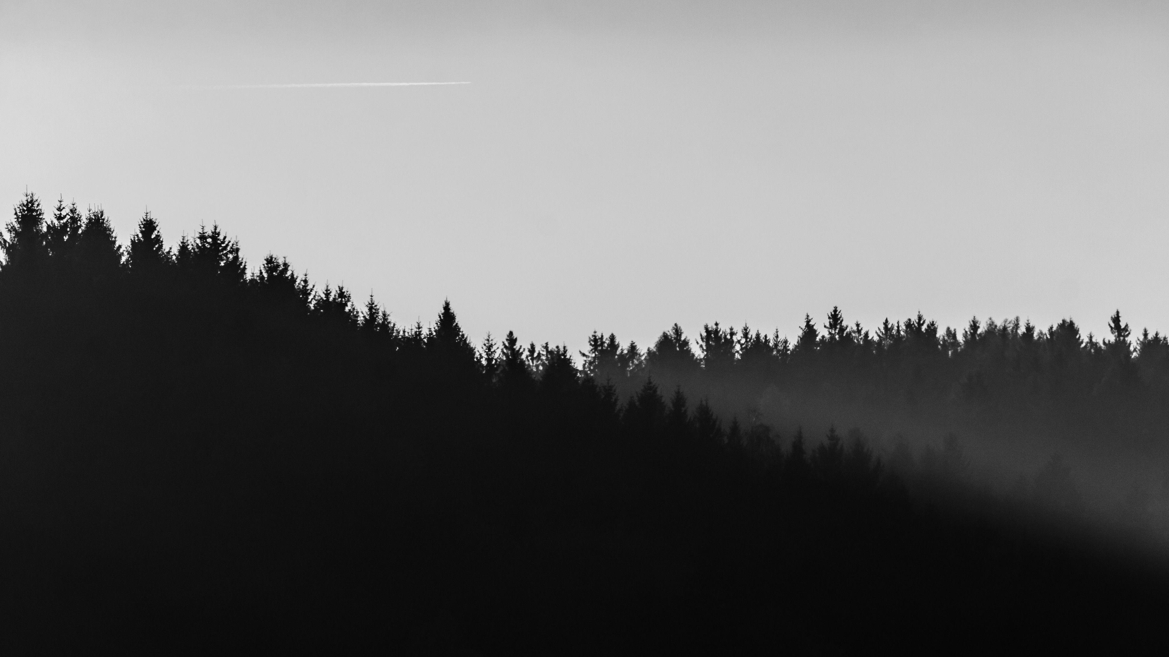 Floresta minimalista, forest, minimal, mountains, nature, HD