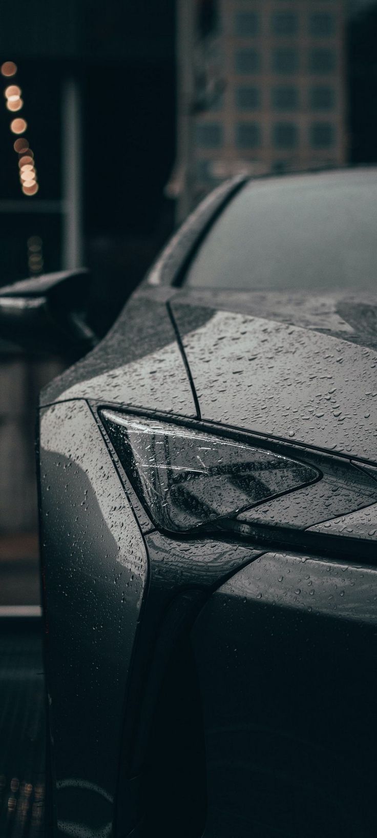 736x1635 Rained Lamborghini