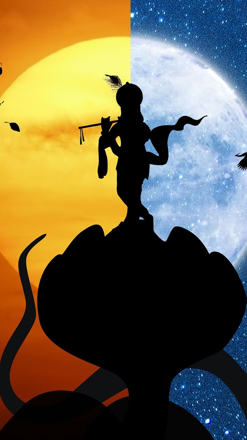 800x1422 Krishna Black, day night, lord, god, krishna, HD phone wallpaper