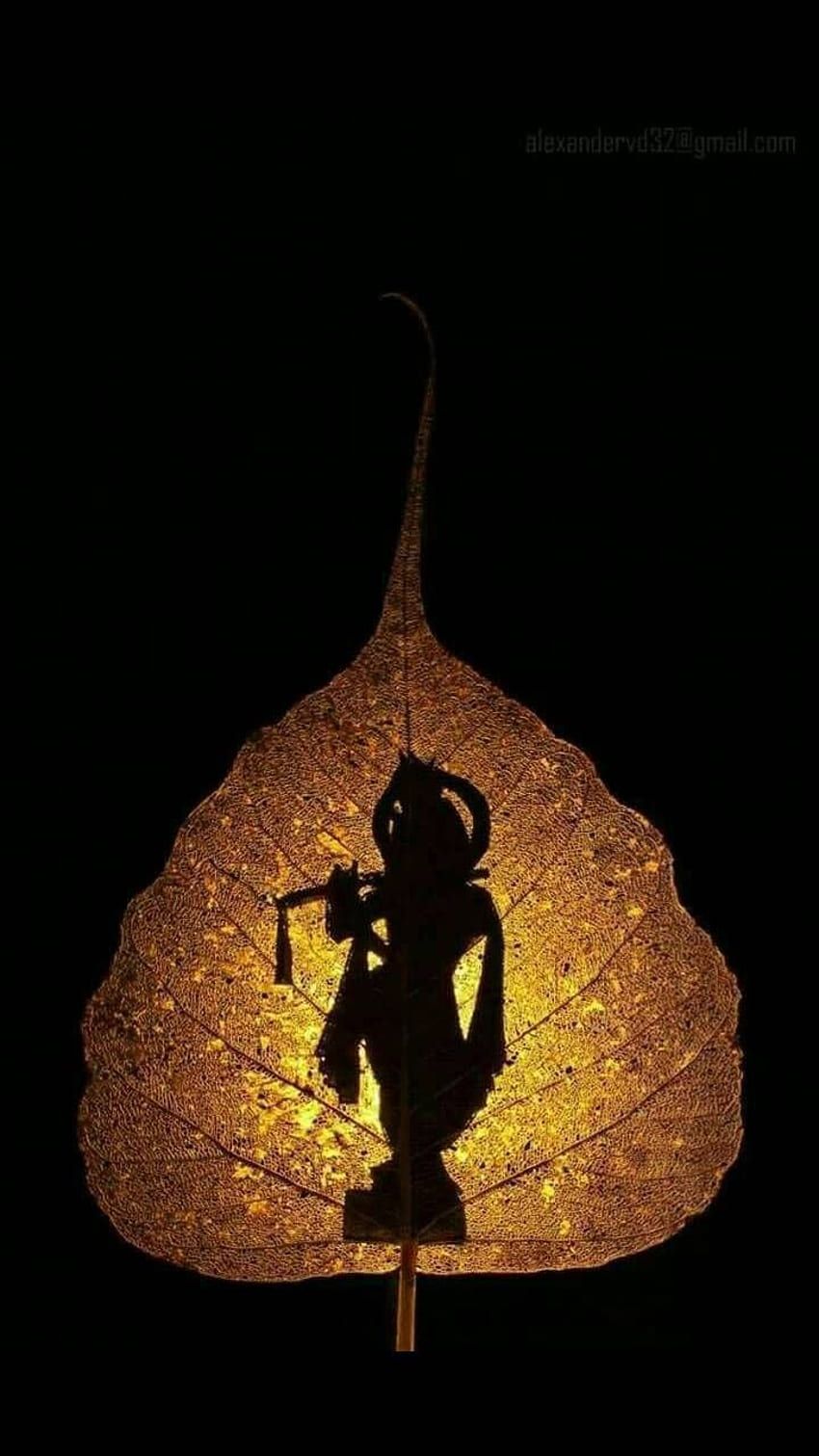 850x1511 Lord Krishna Black, Dark Krishna HD phone wallpaper