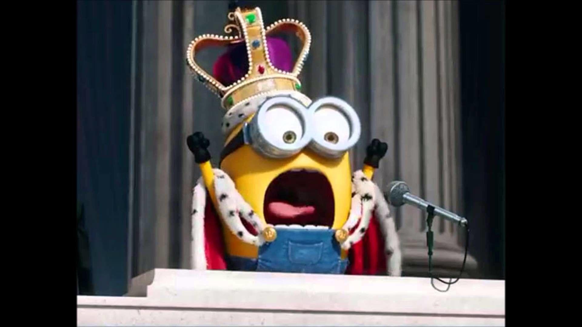 King bob HD wallpapers  Pxfuel