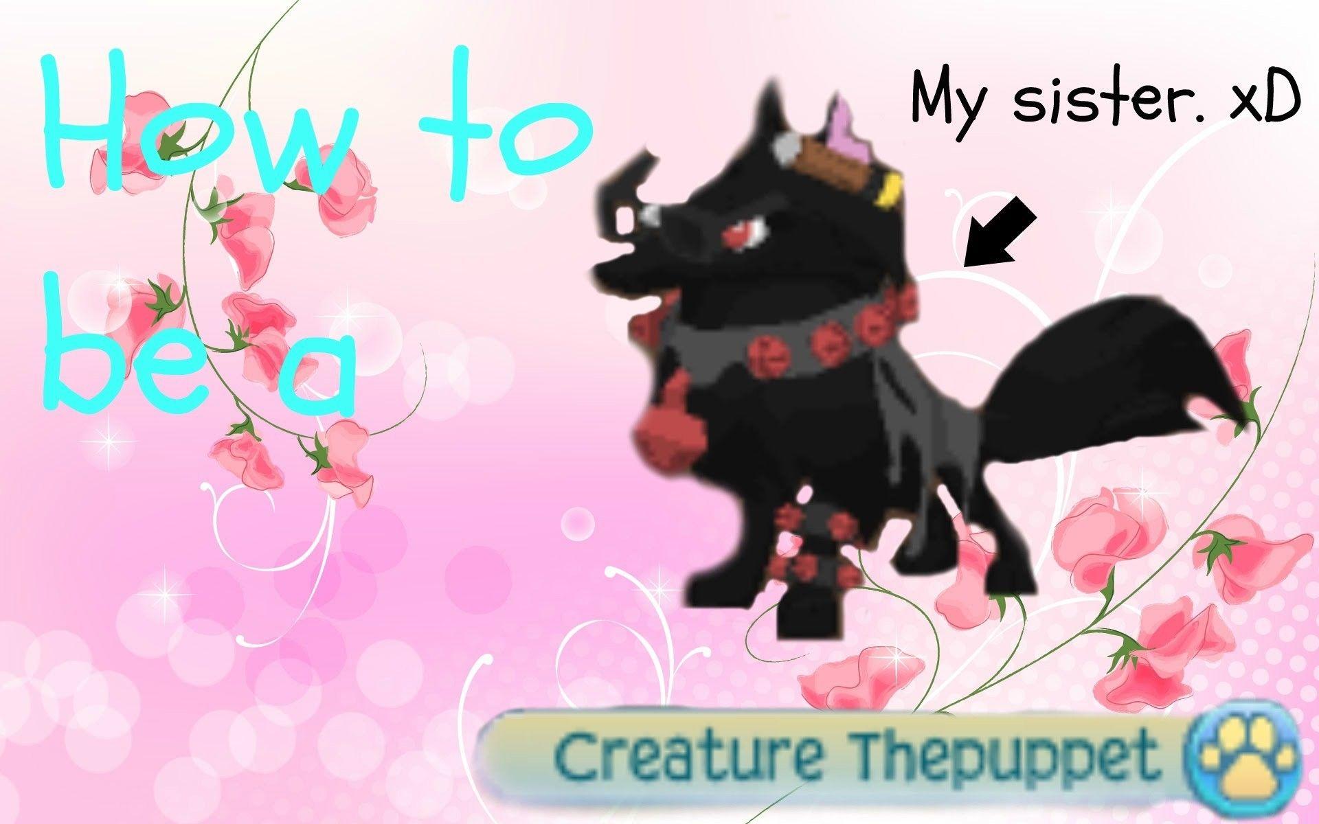 1920x1200 Animal Jam Wallpaper Arctic Wolf