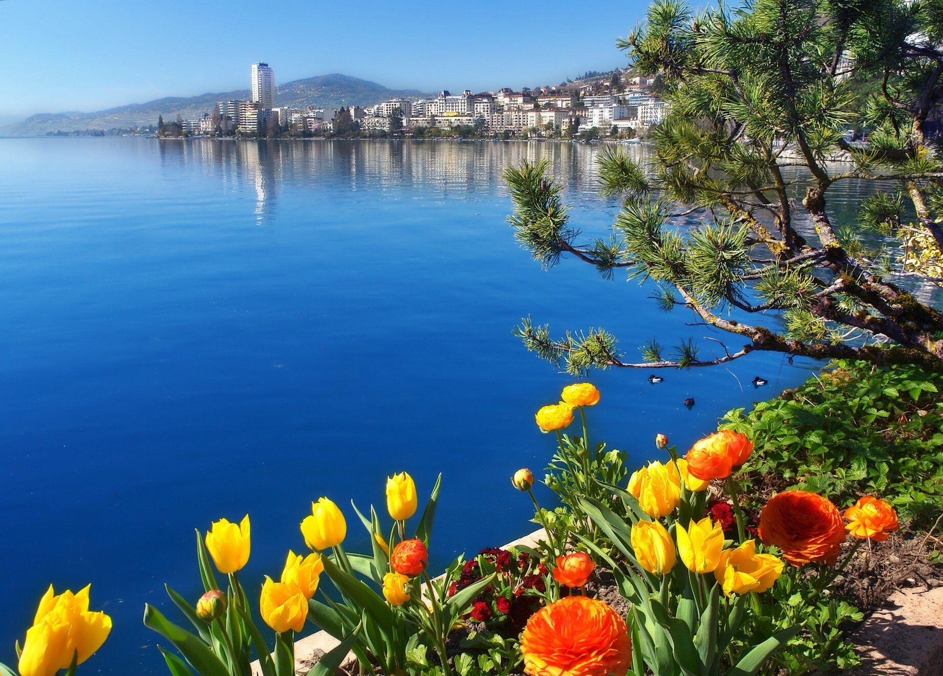 1920x1377 Lake Geneva HD Wallpaper and Background