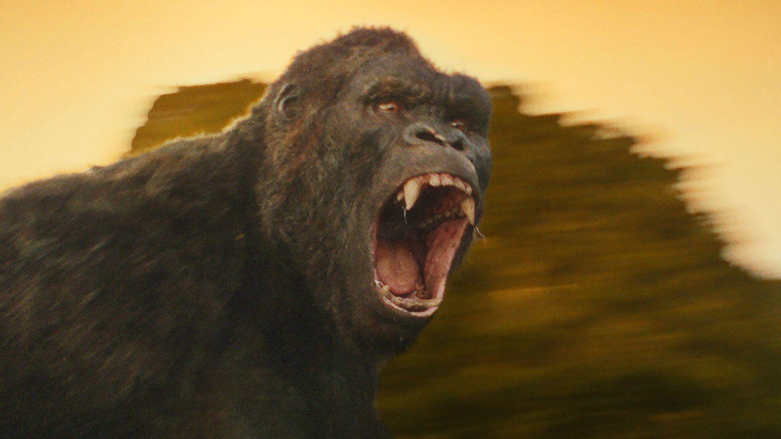 1600x900 Movie Kong Skull Island Wallpaper HD Picturez 1600x900