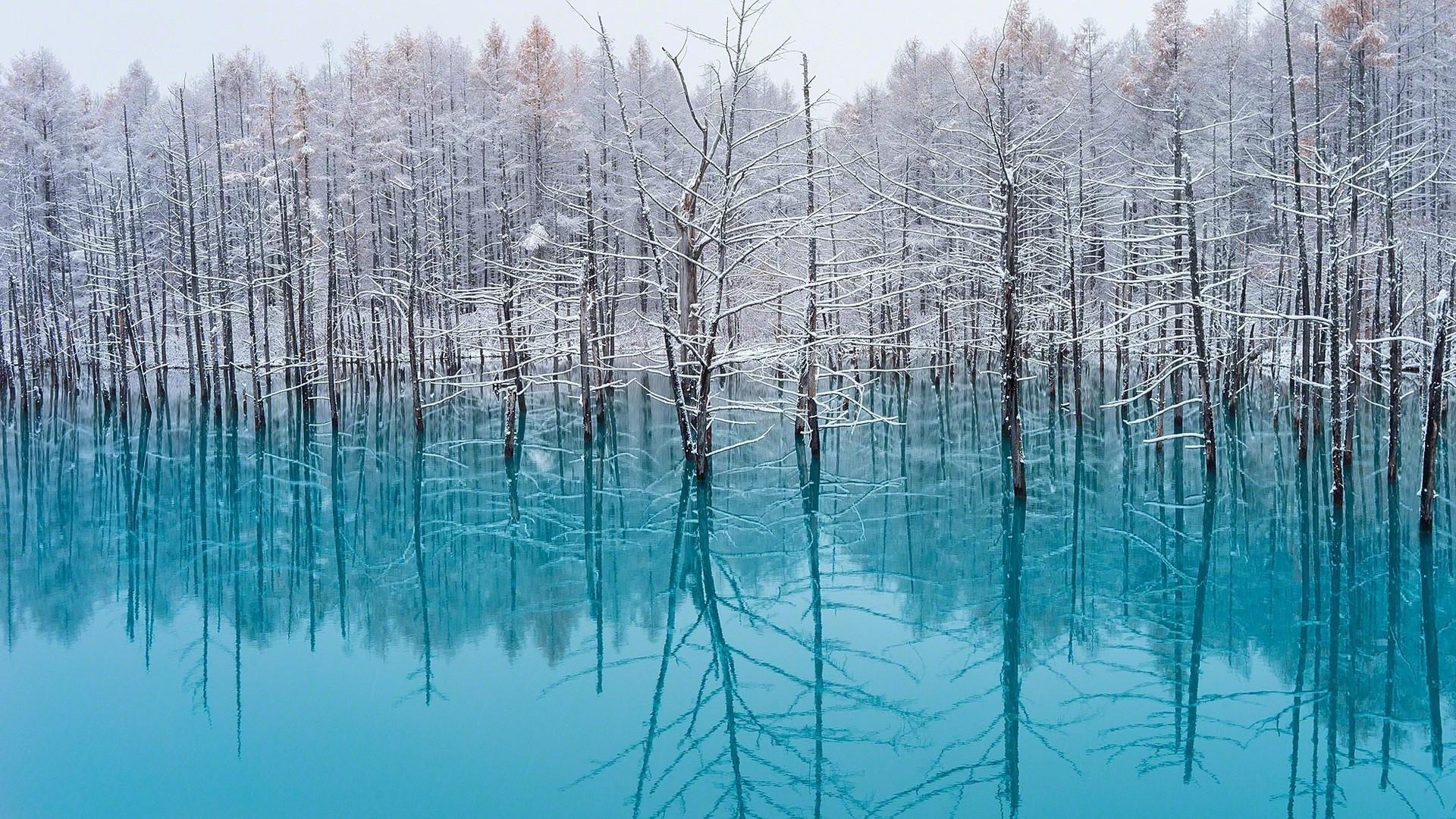 1920x1080 Download Snow Japan Wallpaper, HD Background Download