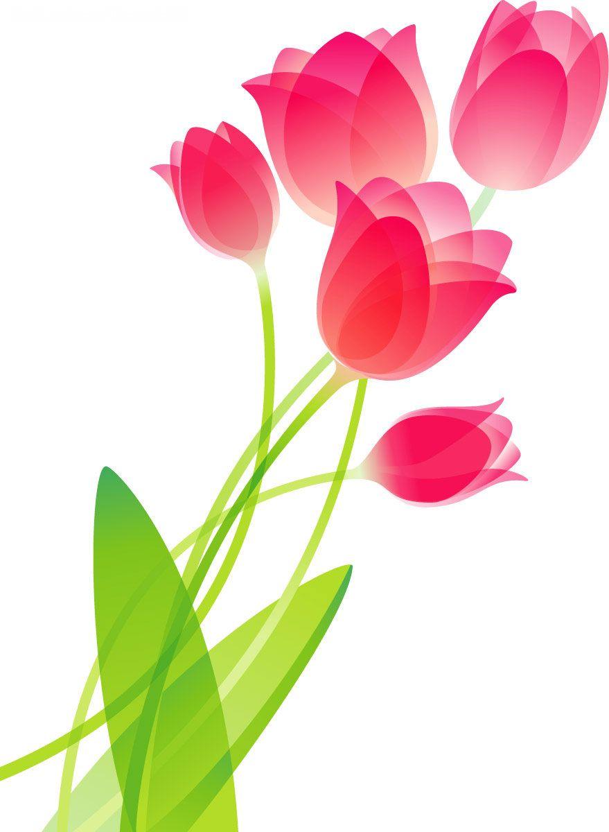 Flower Drawing Wallpapers Top Free Flower Drawing Backgrounds
