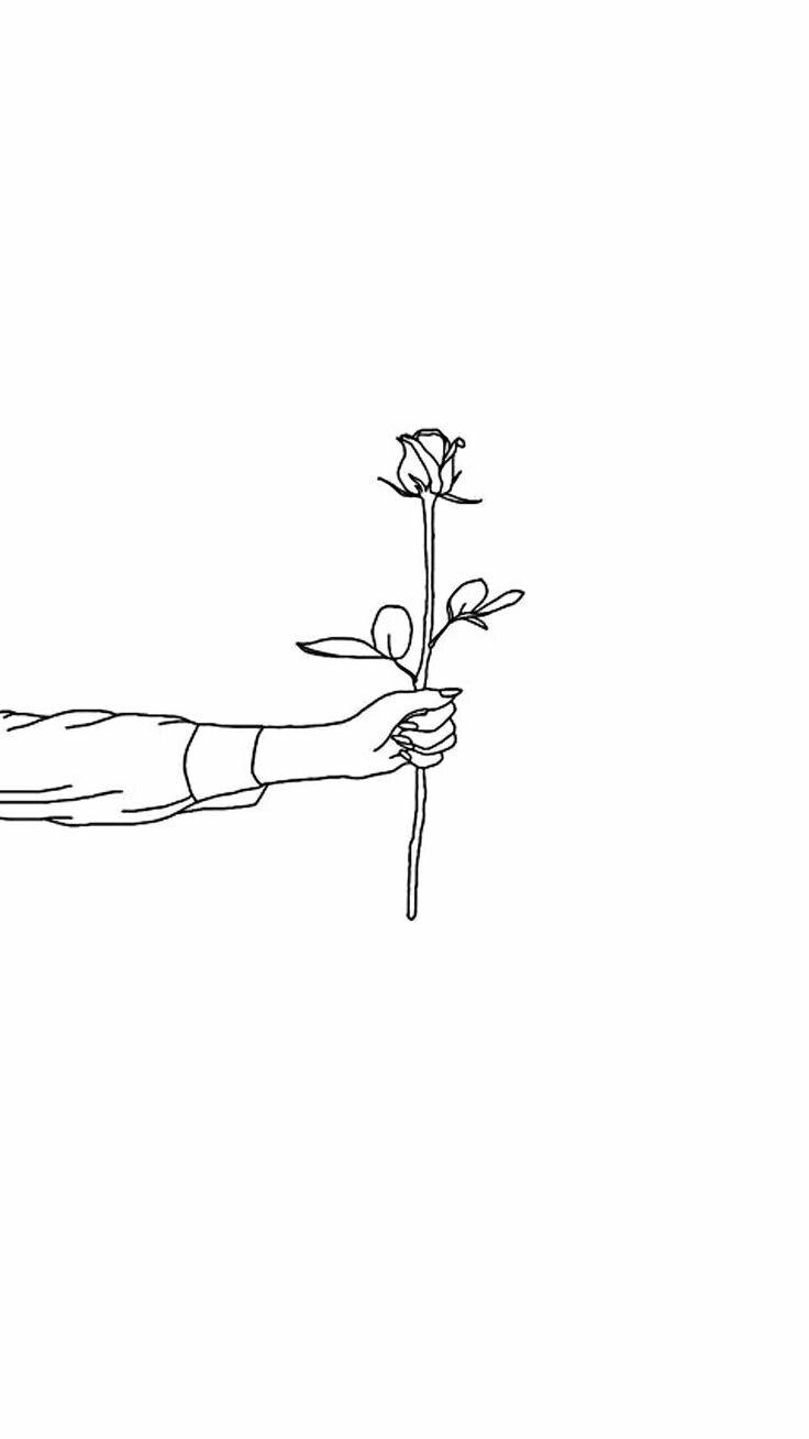 736x1308 Illustration. Outline art, Minimalist