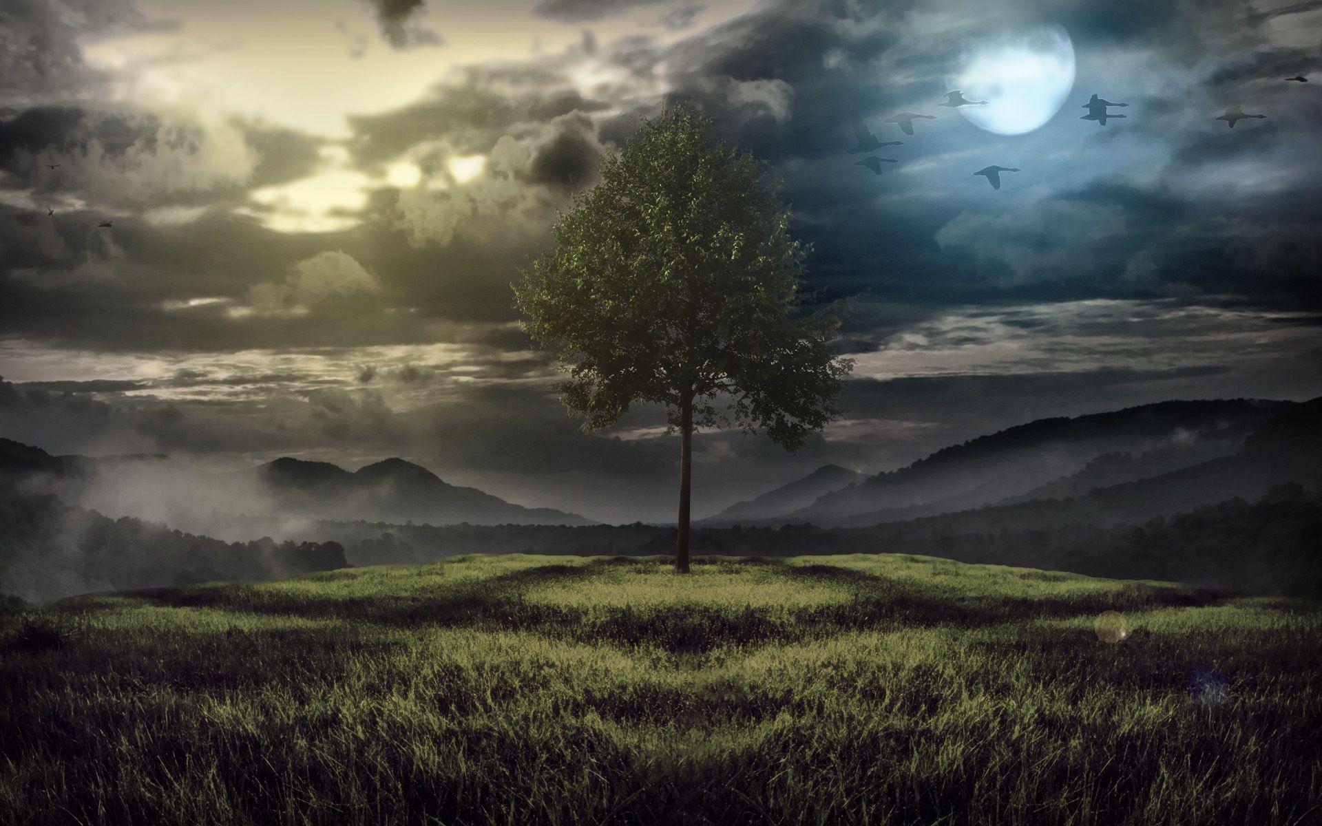 1920x1200 Free download Fantasy Landscape Wallpaper [1920x1200]