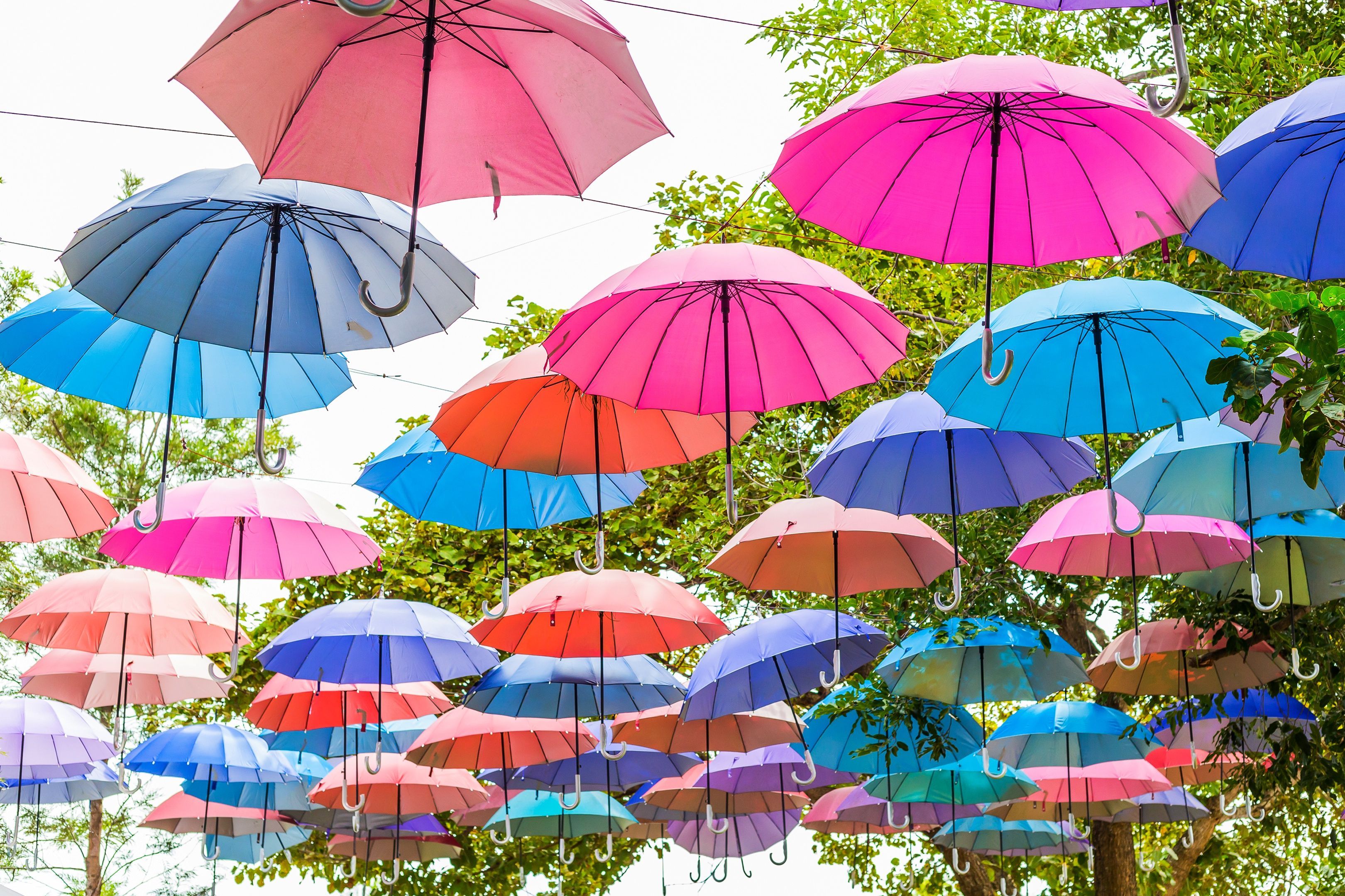 3240x2160 Wallpaper parasol Many 3240x2160