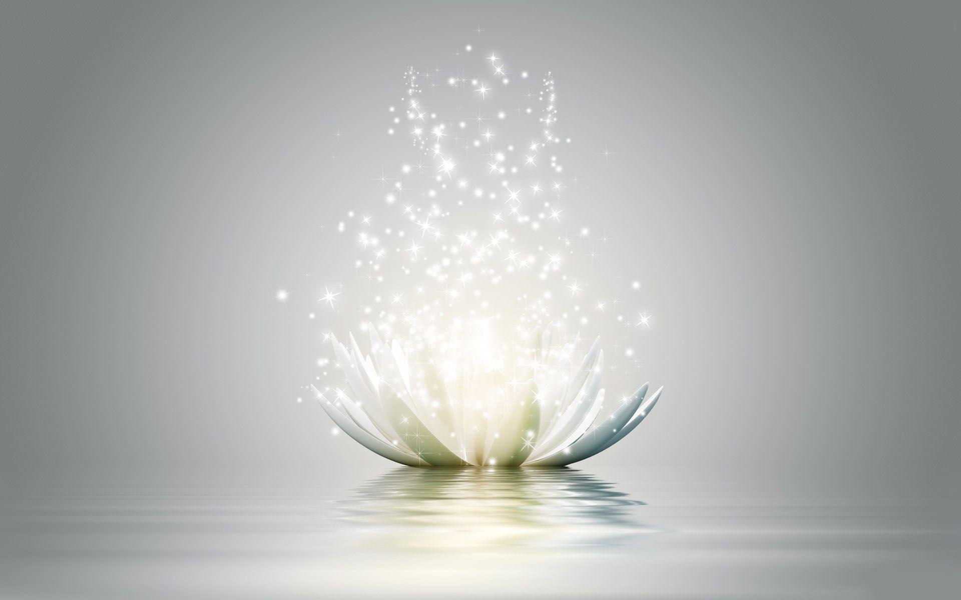 1920x1200 Lotus Flower Background Wallpaper