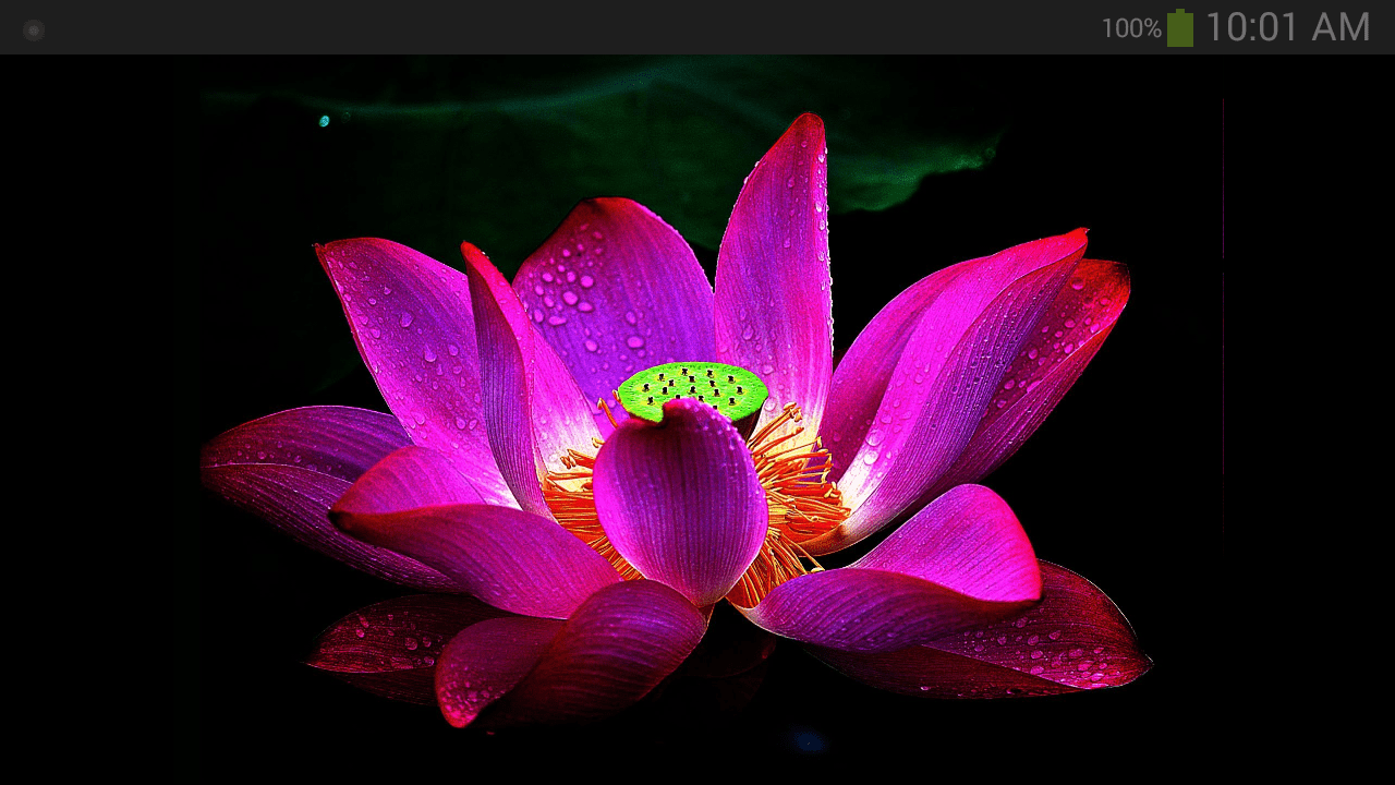 1280x720 Lotus Flower Wallpaper: Amazon.ca: Appstore for Android