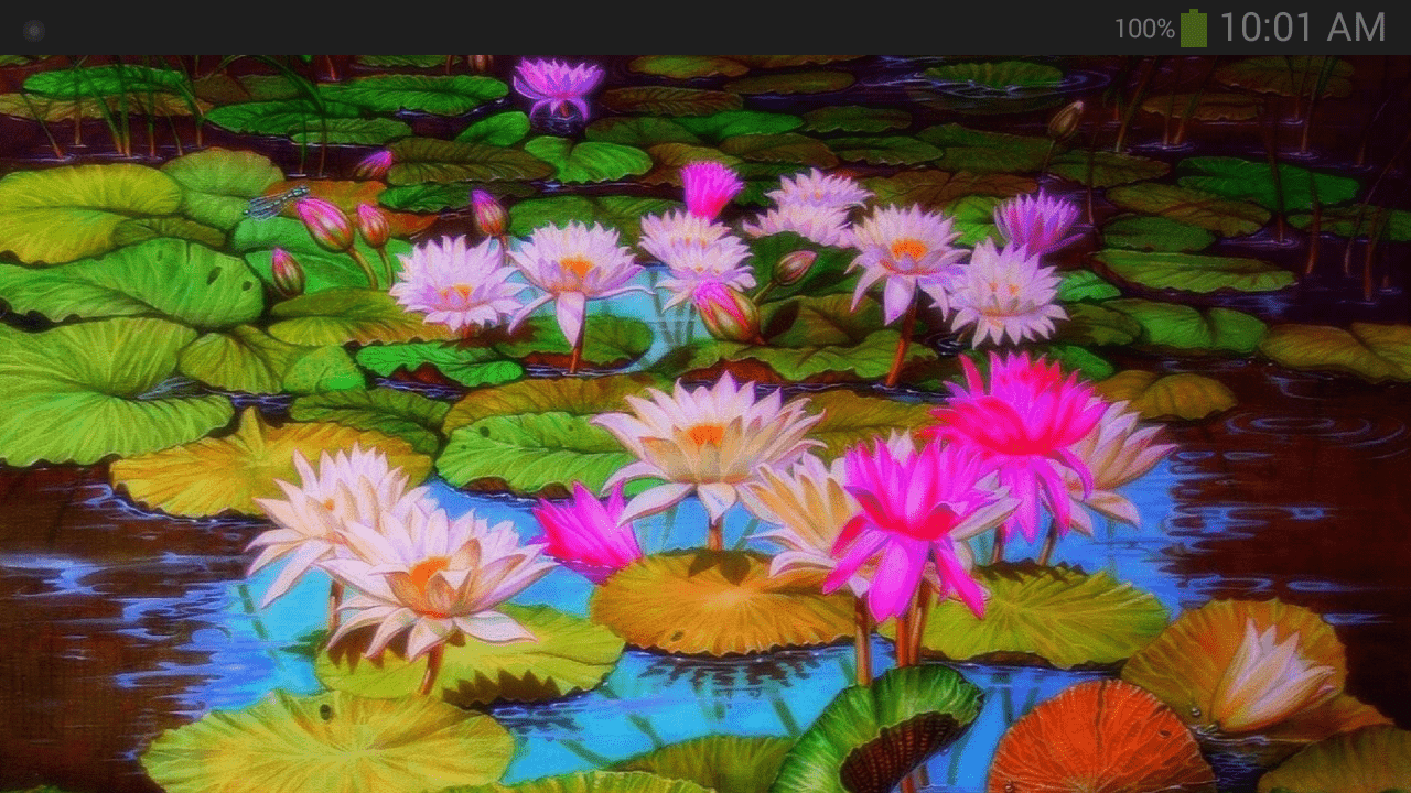 1280x720 Lotus Flower Wallpaper: Appstore for Android