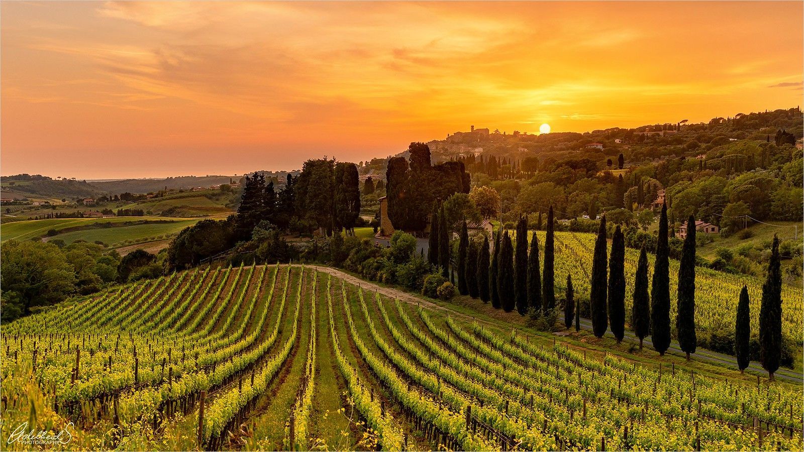 1600x900 Tuscan sunset, Italy. Sunset over the vineyards near the lo