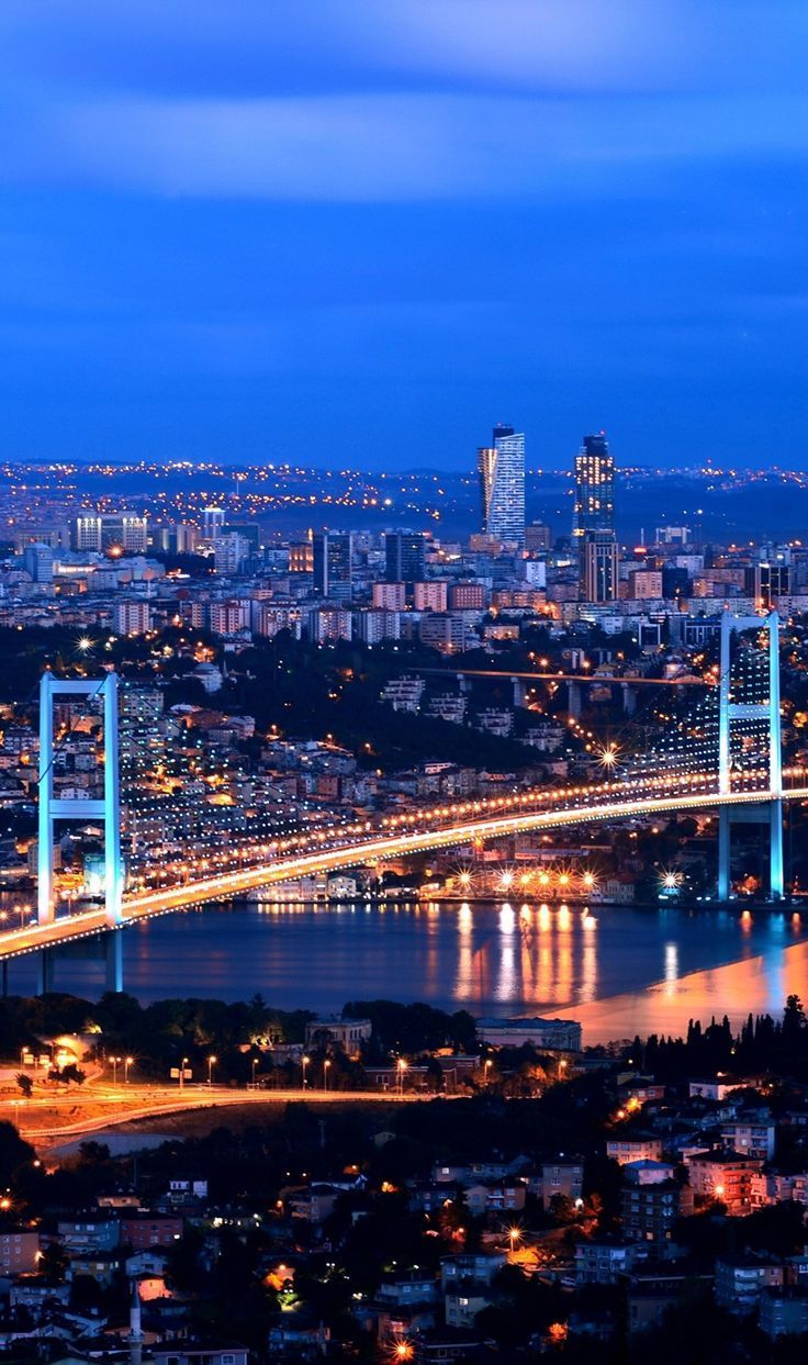 736x1243 Istanbul City