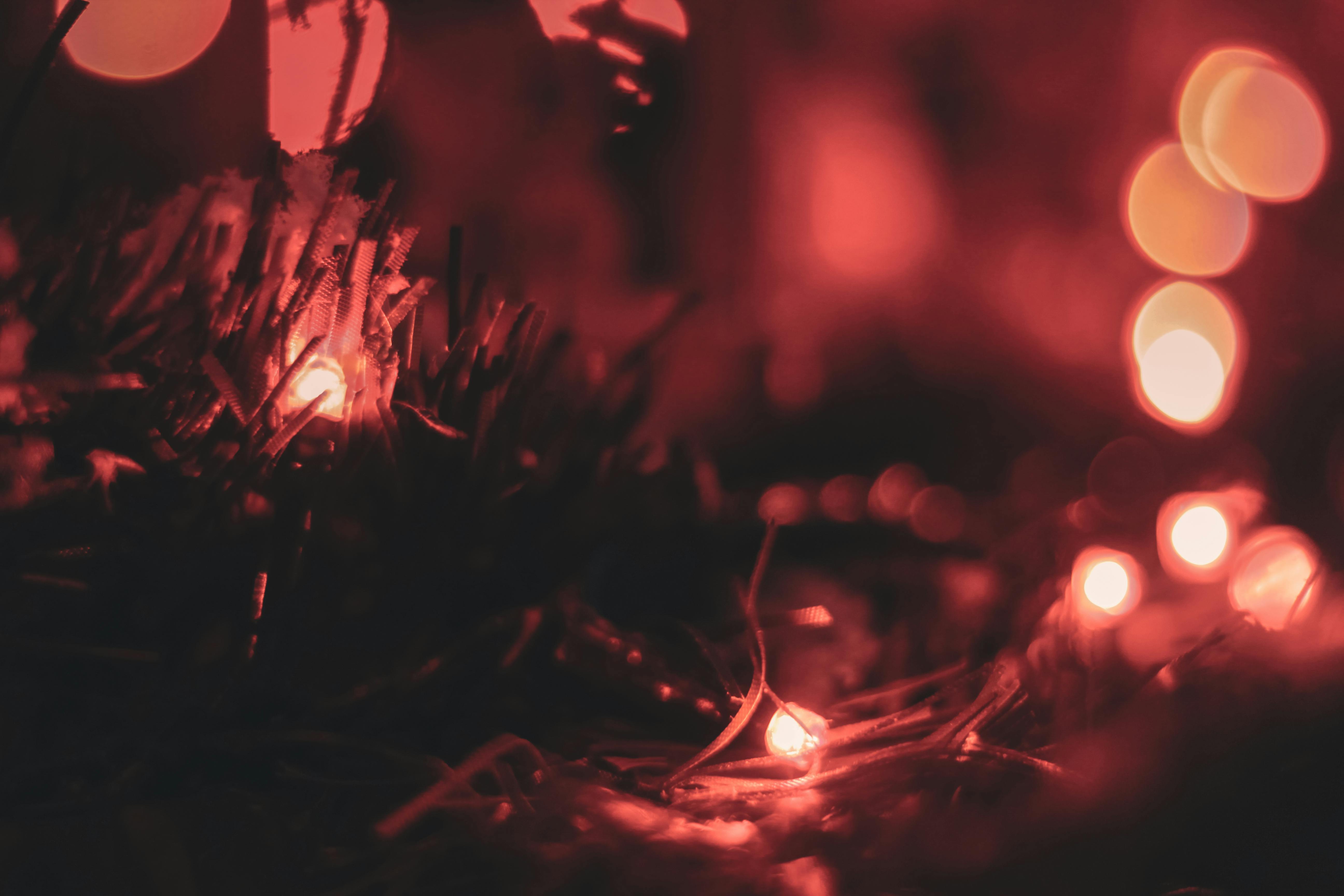 5184x3456 Dark Red Photo, Download The BEST Free Dark Red & HD Image