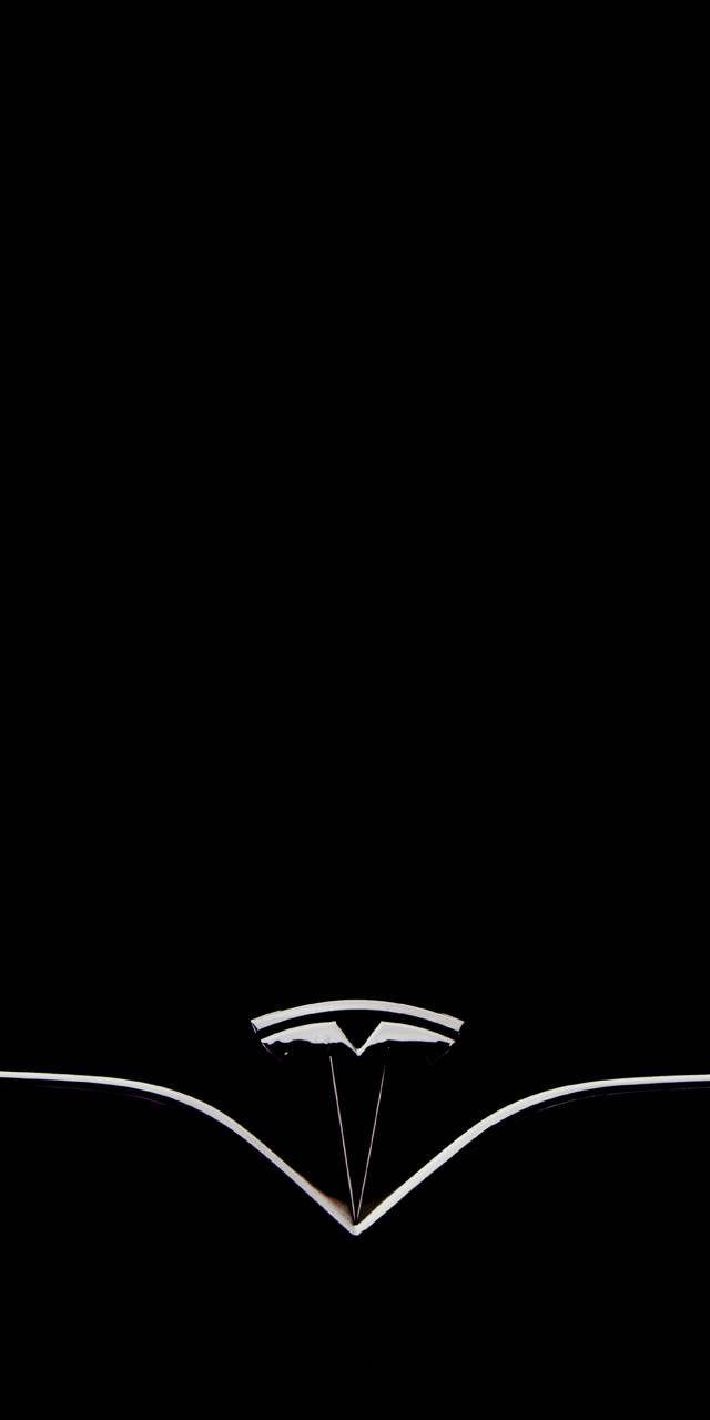640x1280 Tesla wallpaper
