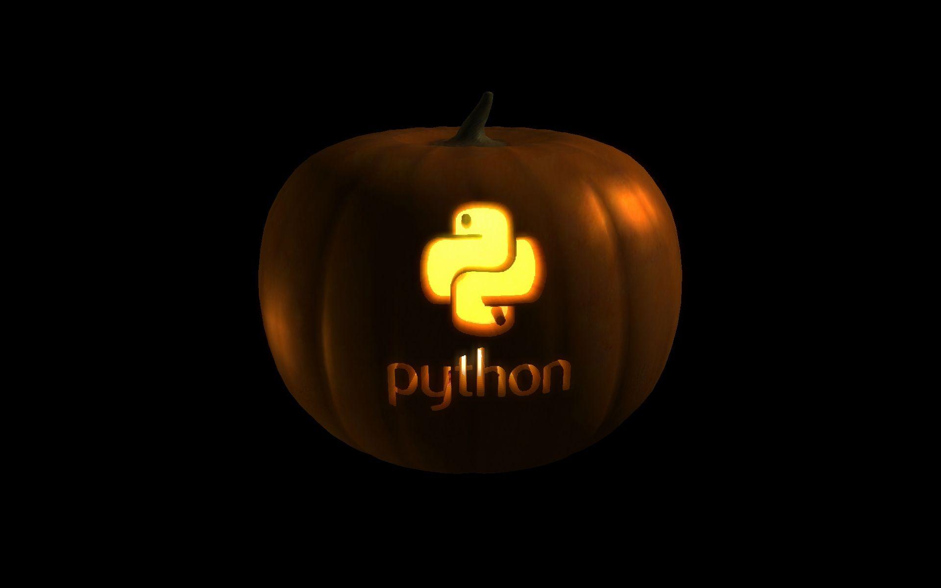 1920x1200 Luxury Python Wallpaper This Year of The Hudson