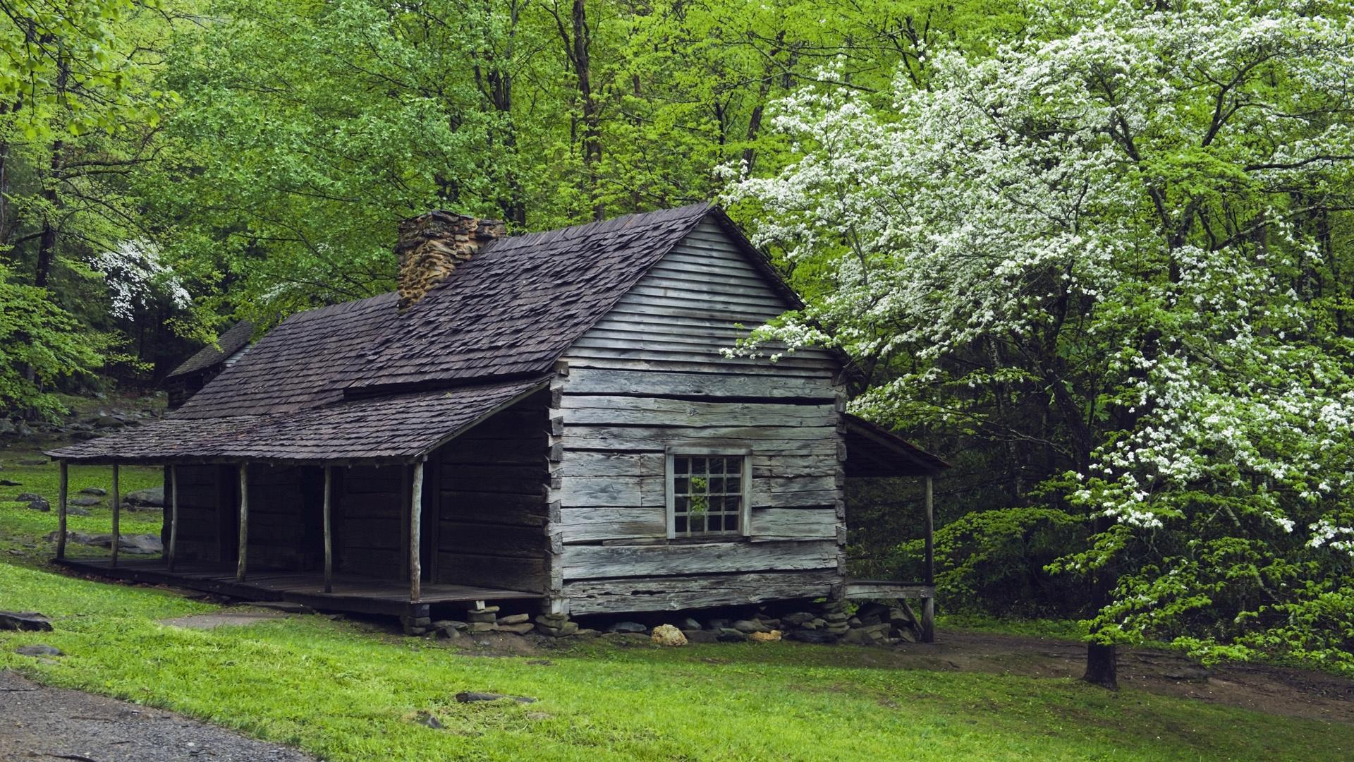 1920x1080 Download 1920x1080 House Wood Tree wallpaper