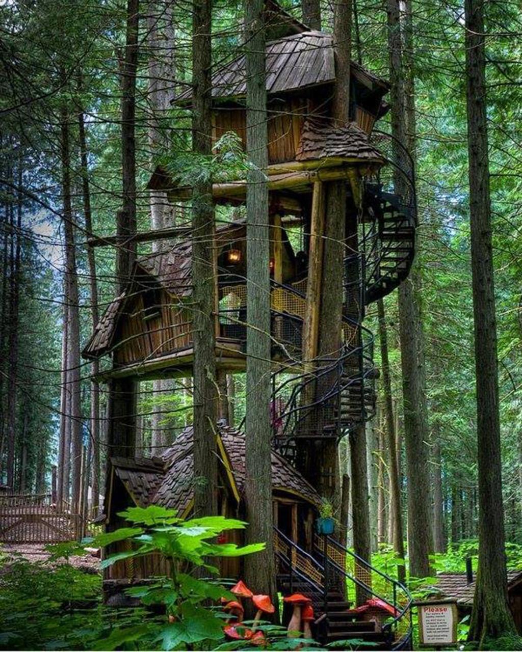 1024x1280 Treehouse Wallpaper