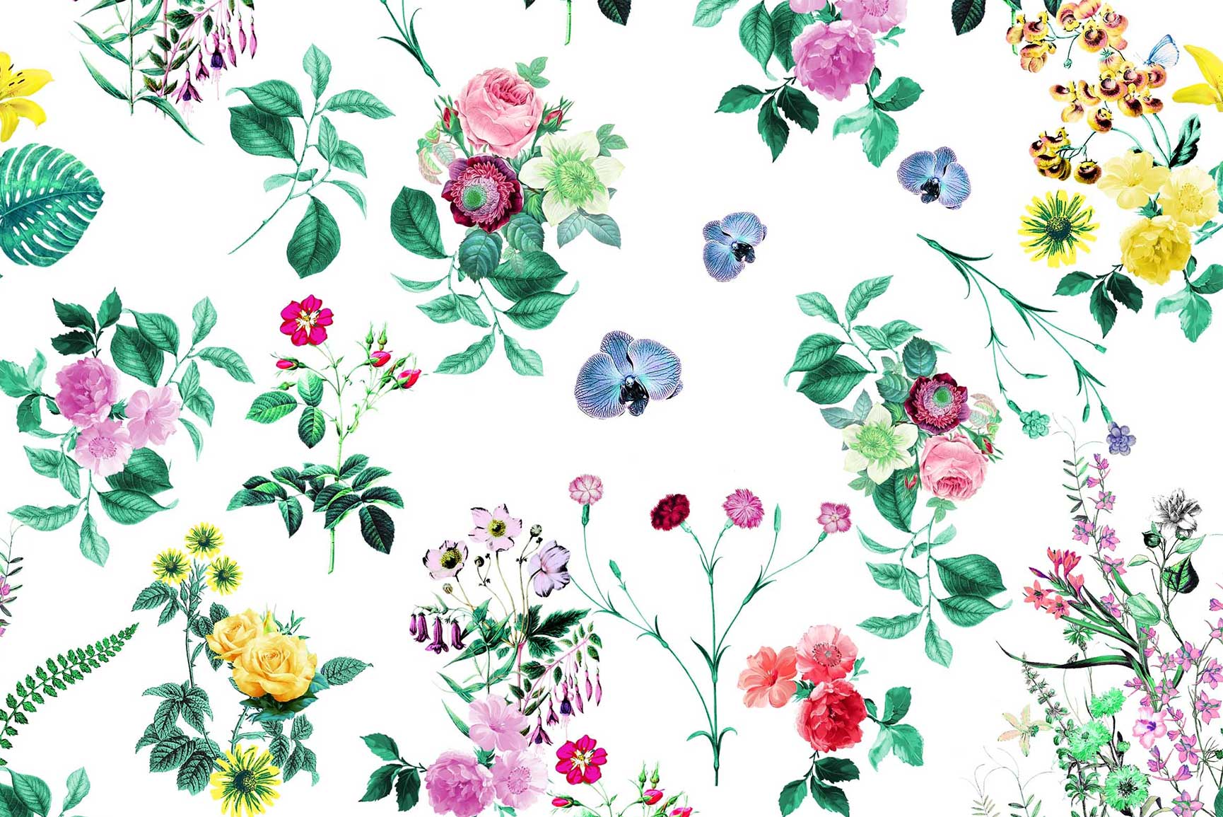 Cute Floral Desktop Wallpapers - Top Free Cute Floral Desktop Backgrounds - WallpaperAccess