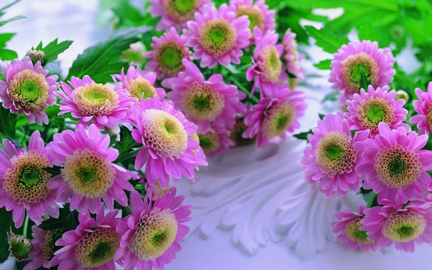 1440x900 Flowers Background Picture For Desktop Free Download HD