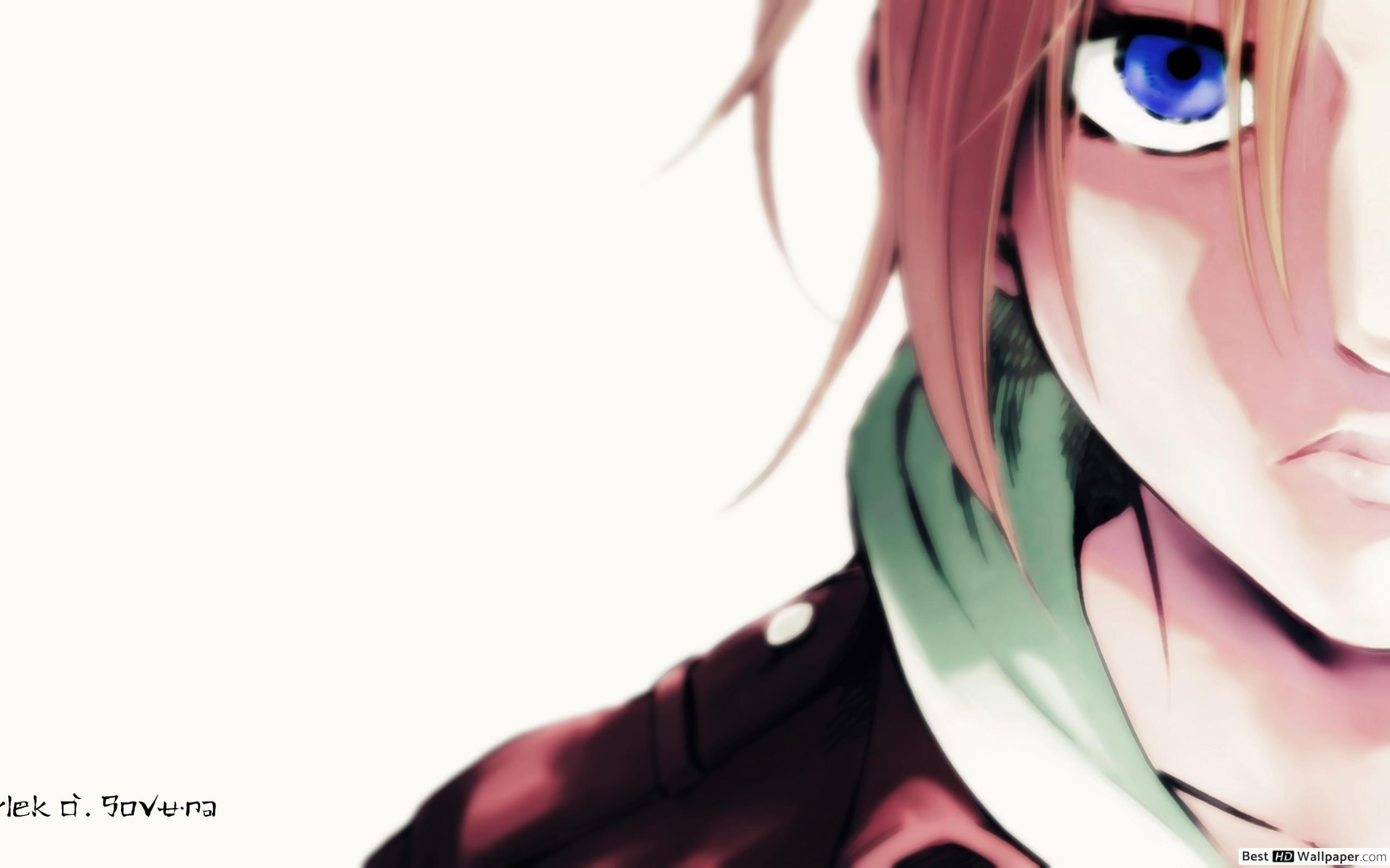 Annie Leonhart Wallpapers - Top Free Annie Leonhart Backgrounds