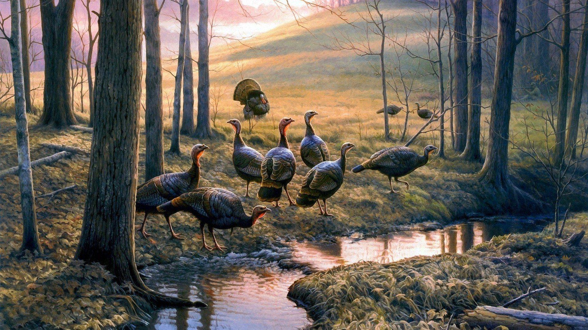 1920x1080 Turkey Wallpaper