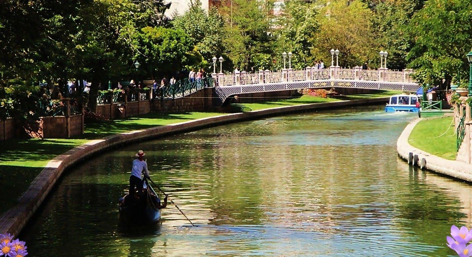 Crazy Turkey Wallpapers Top Free Crazy Turkey Backgrounds