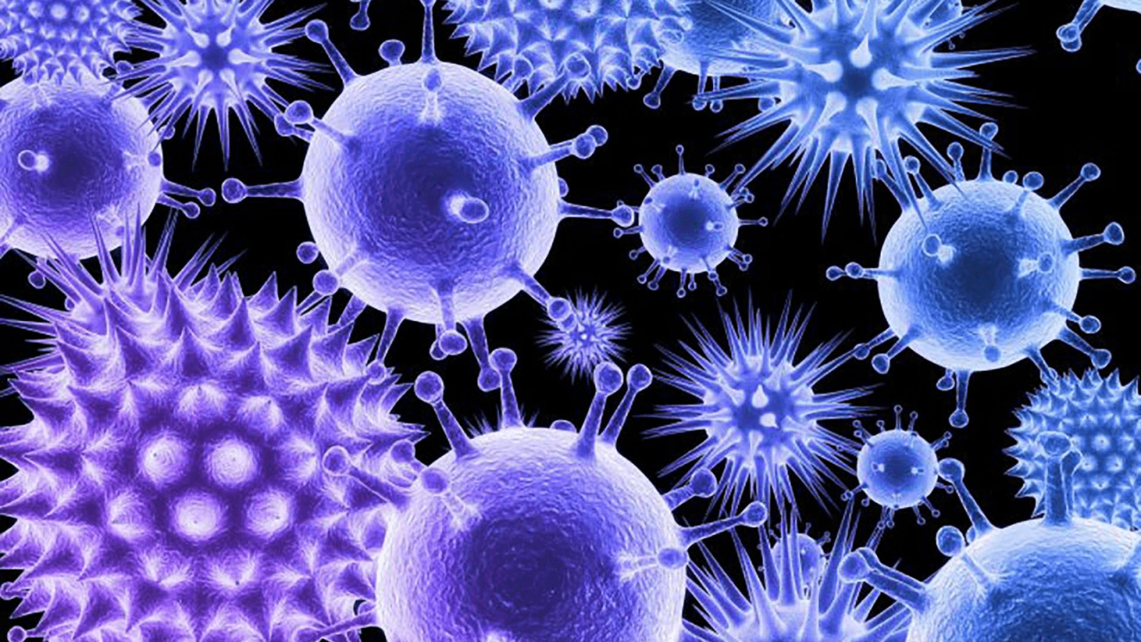 Microbiology HD Wallpapers - Top Free Microbiology HD Backgrounds -  WallpaperAccess