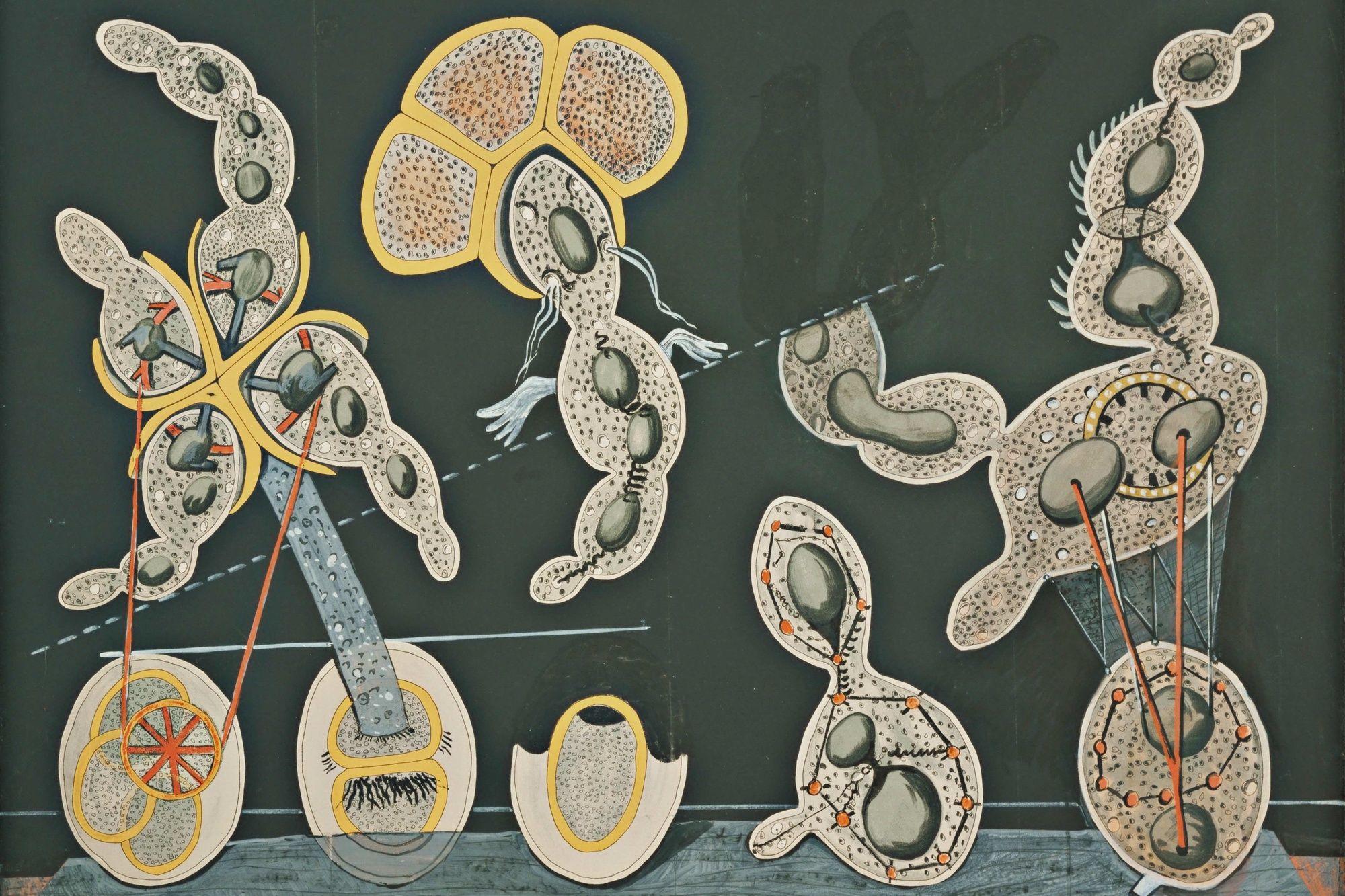 2000x1333 Max Ernst: Beyond Painting