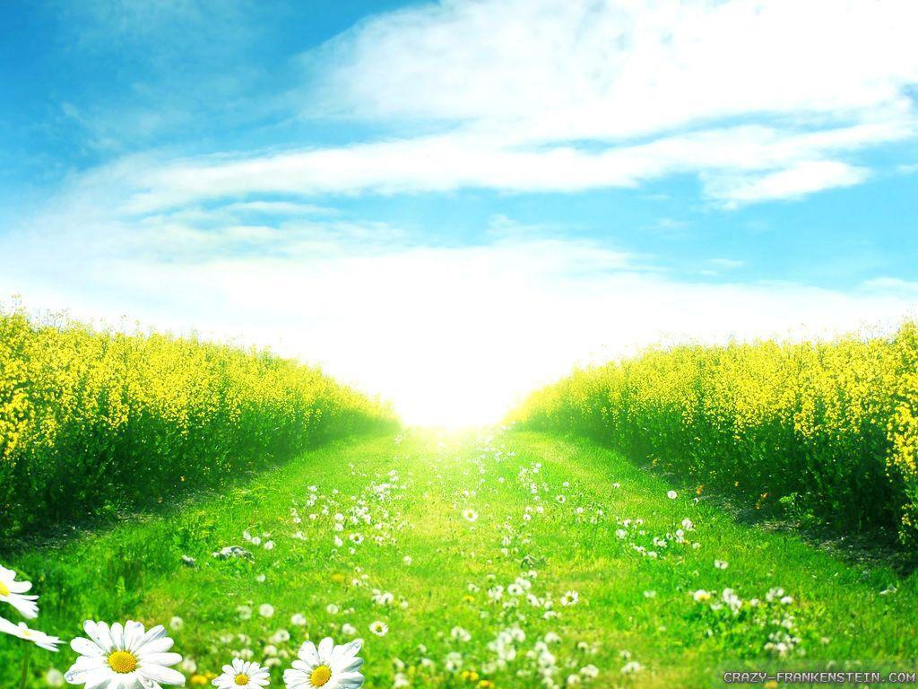 Spring Cartoon Wallpapers - Top Free Spring Cartoon Backgrounds ...