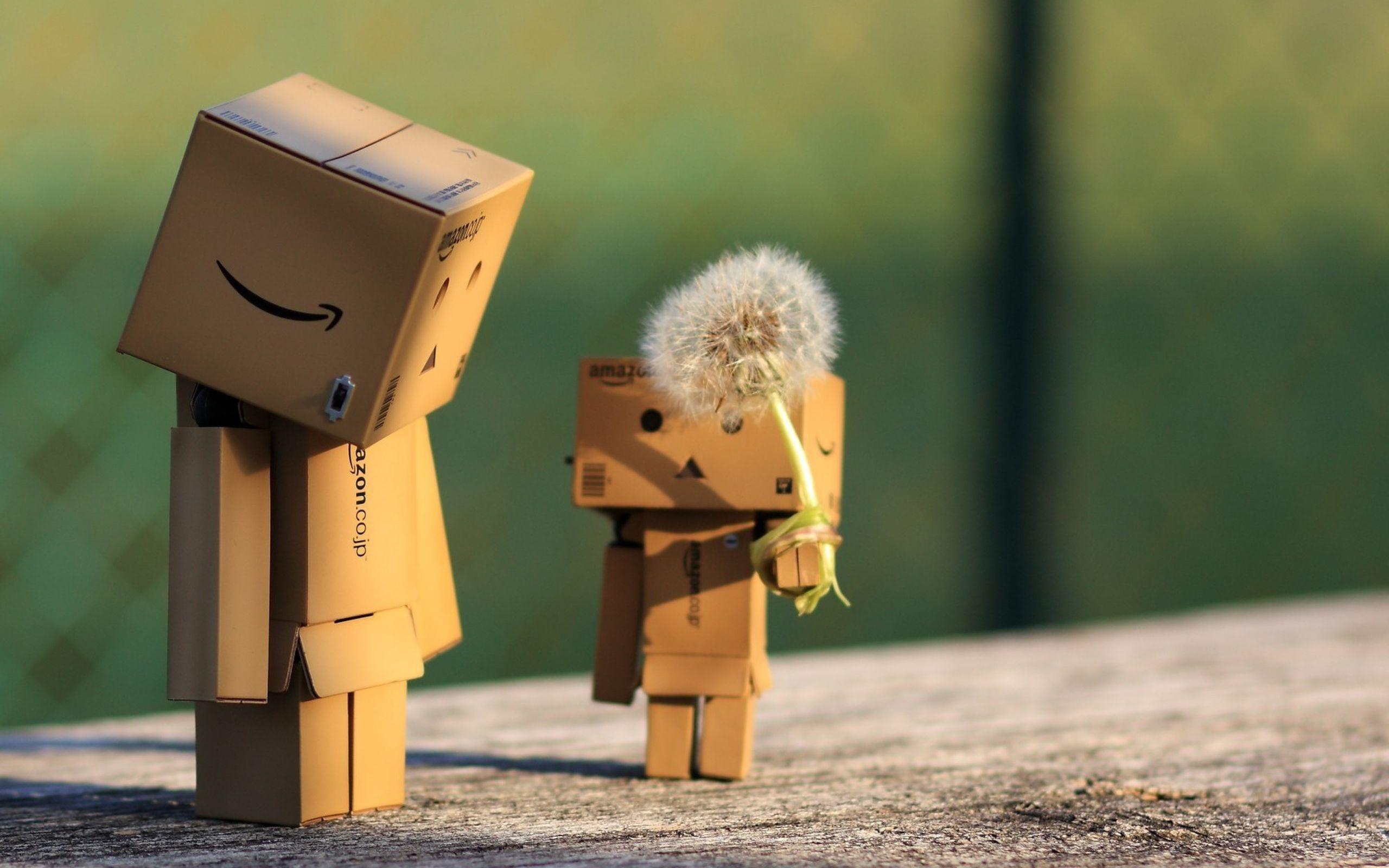 2560x1600 Danbo 2560x1600 Resolution HD 4k Wallpaper, Image