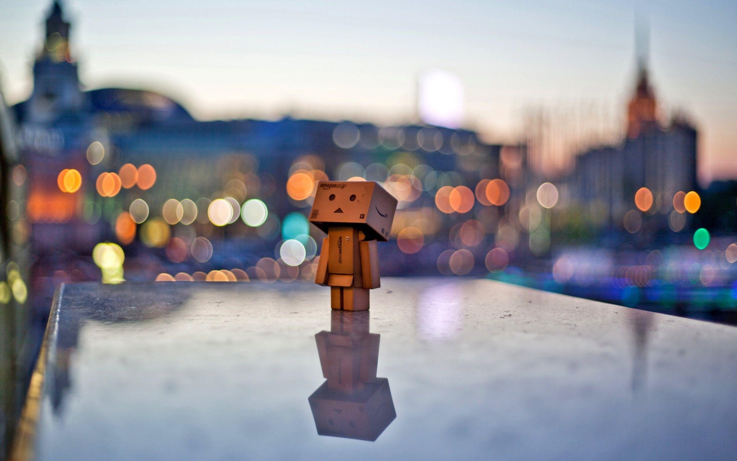 2560x1600 Danbo Wallpaper