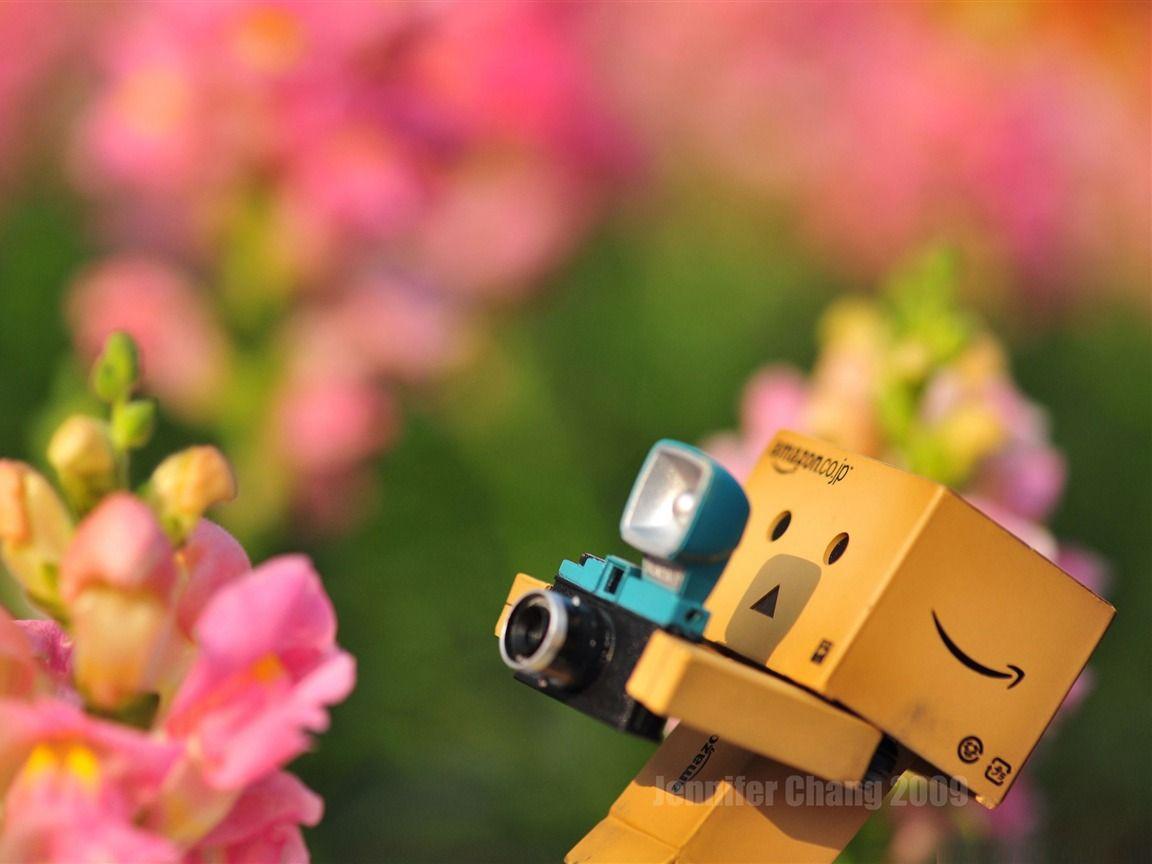 1152x864 Danbo Photographer, HD Wallpaper & background Download