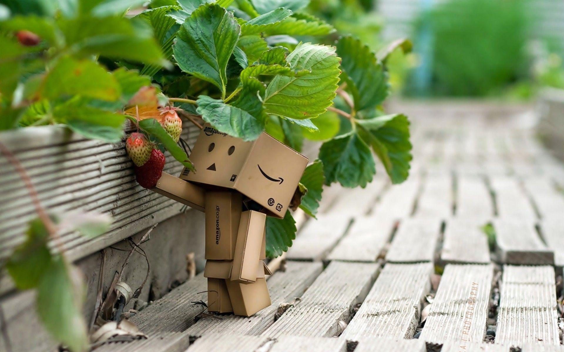 1920x1200 Danbo Wallpaper 24528 1920x1200px