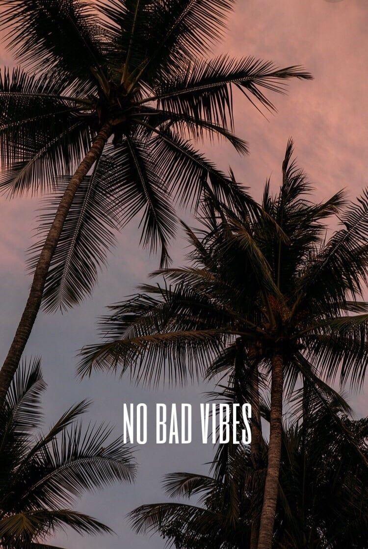 750x1119 No Bad Vibes Wallpaper