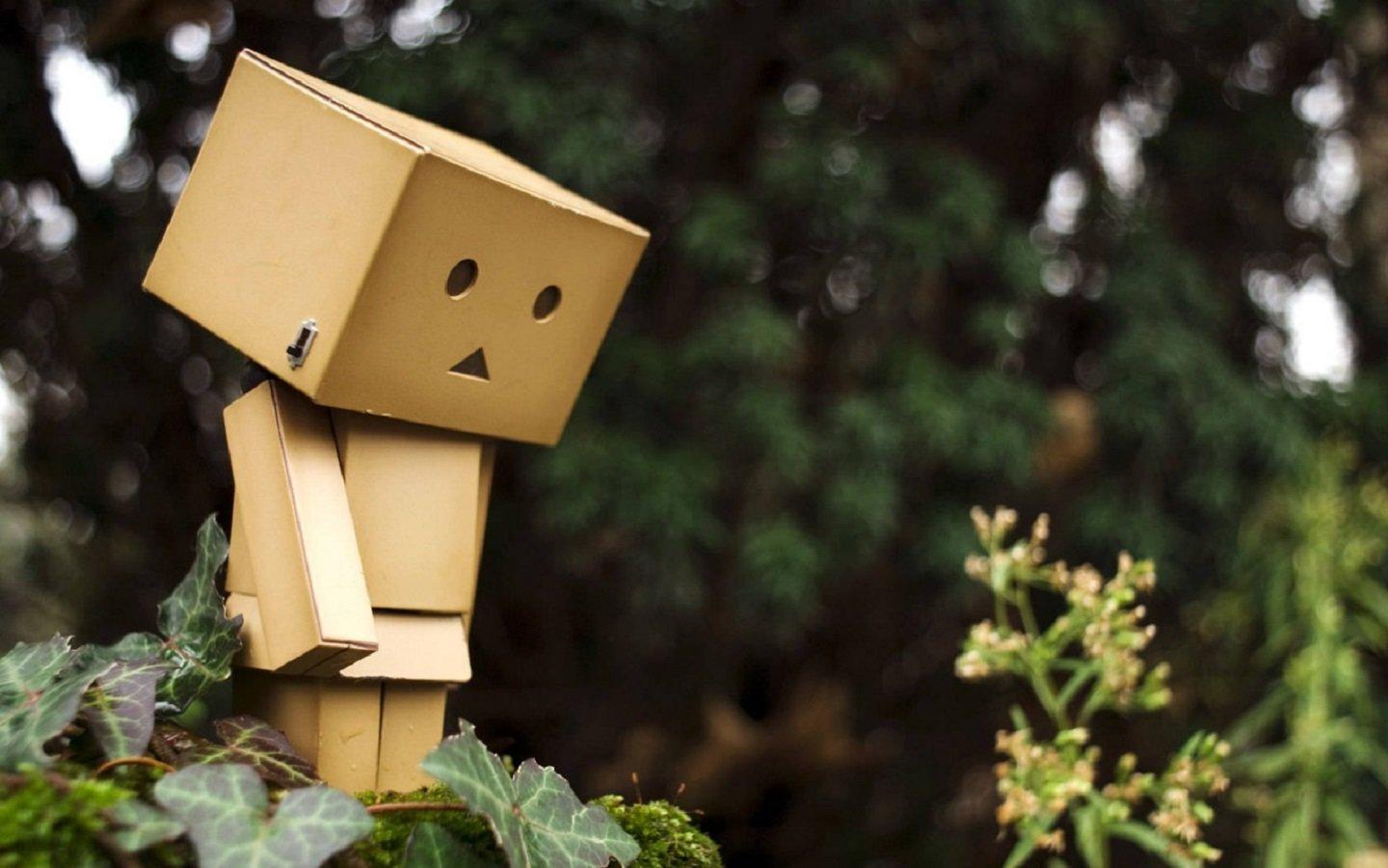 1440x900 Danbo wallpaper 1440x900 desktop background