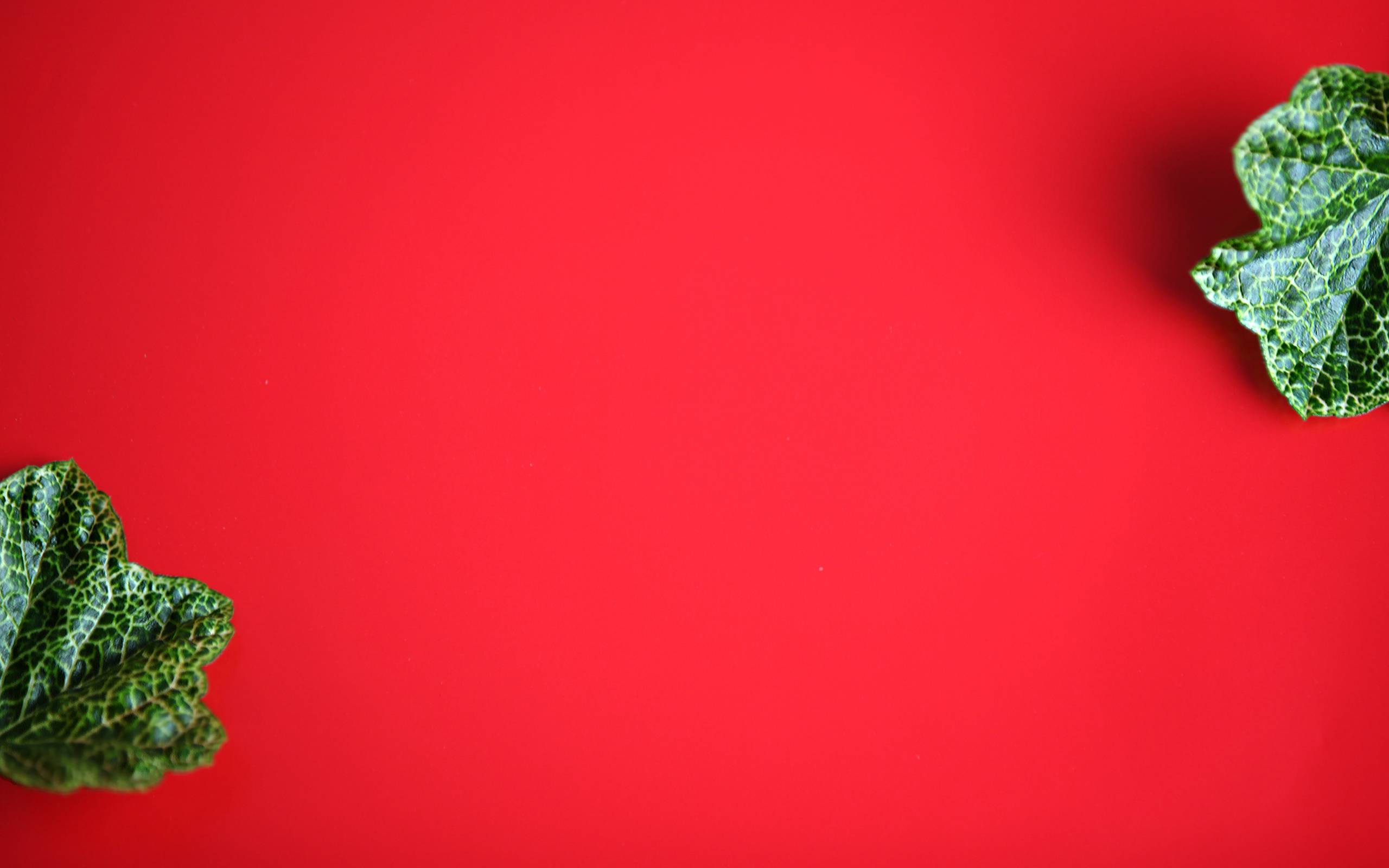 2560x1600 Green and Red Wallpaper 07 - [2560x1600]