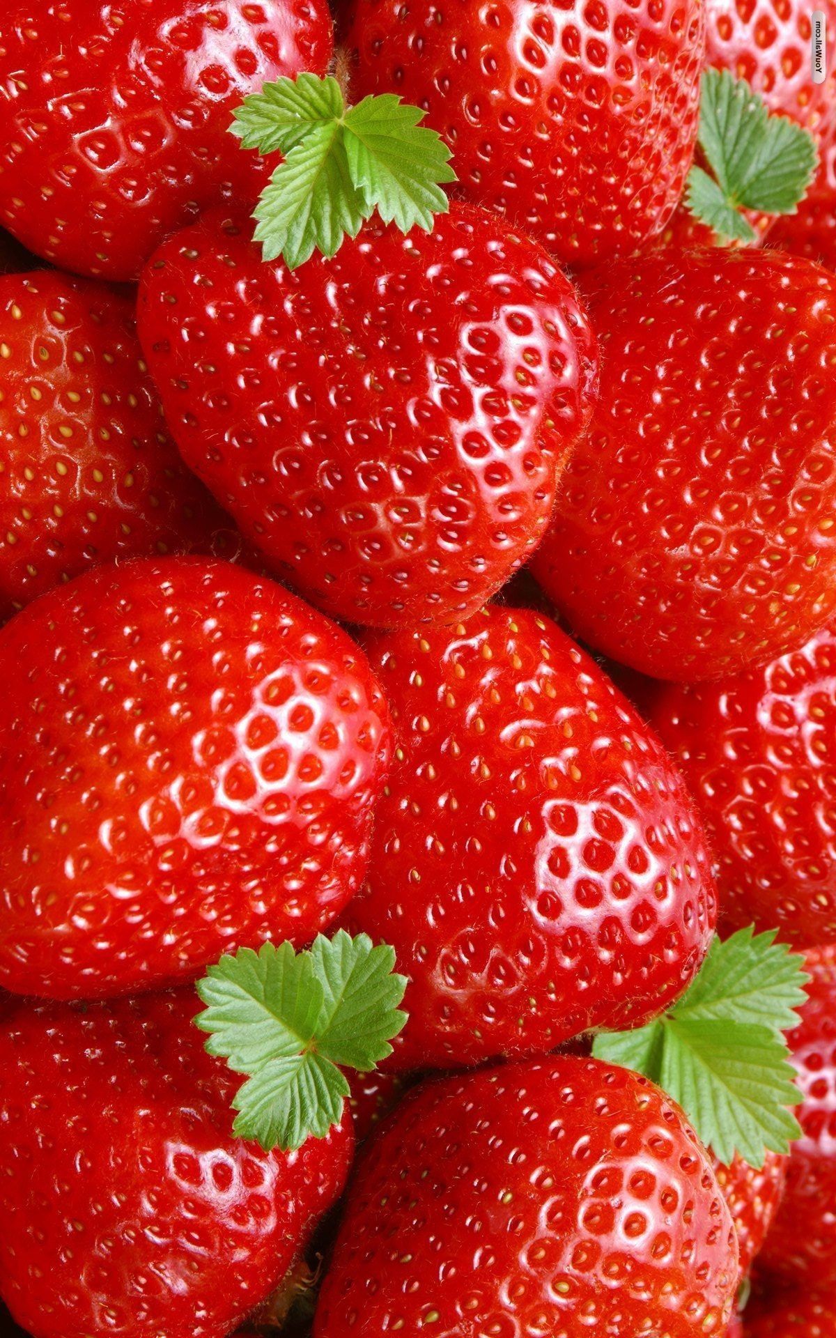 1200x1920 Strawberry Wallpaper