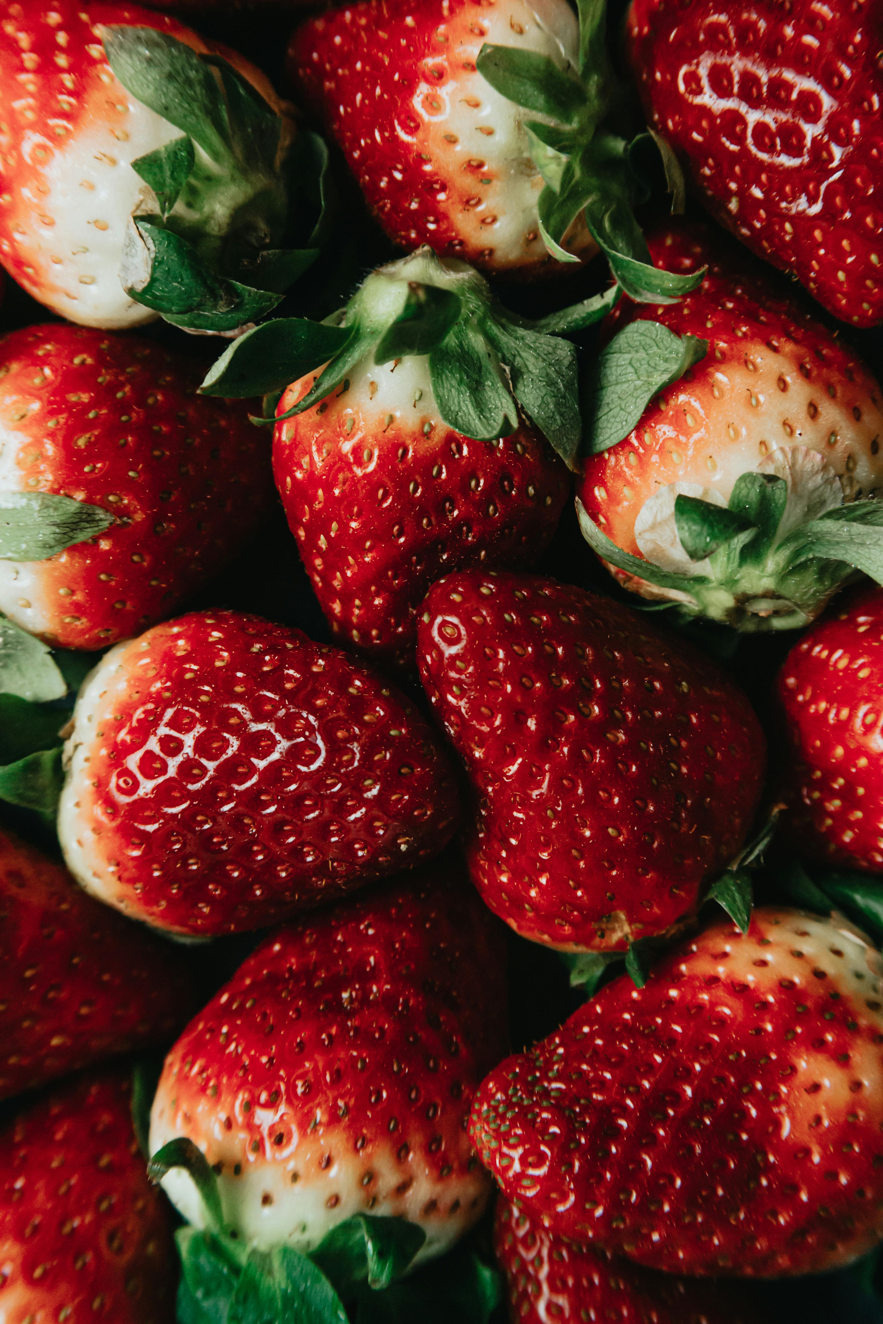 3337x5005 Strawberry Photo, Download The BEST Free Strawberry & HD Image