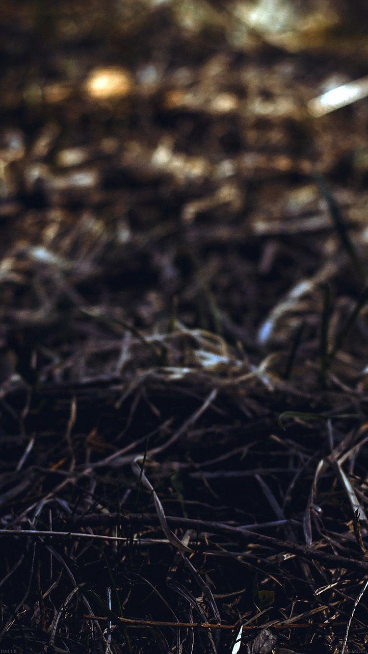 750x1334 iPhone wallpaper. path leaf backyard old vintage