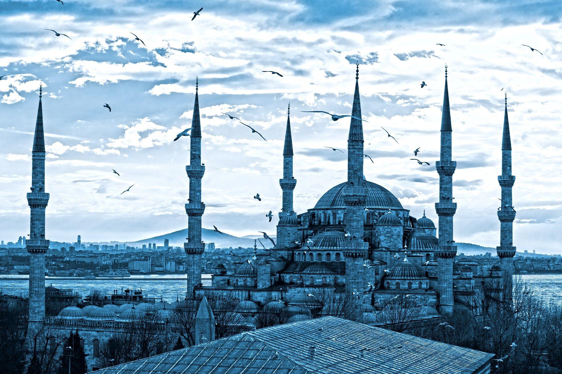 blue mosque at night