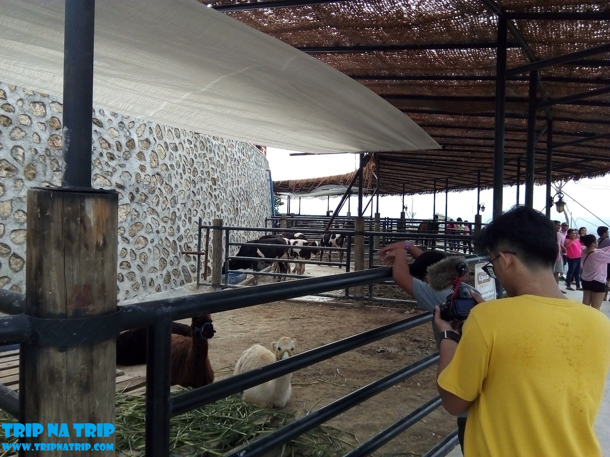 2048x1536 Higher than a High View Deck's Ark of Amaya View CDO