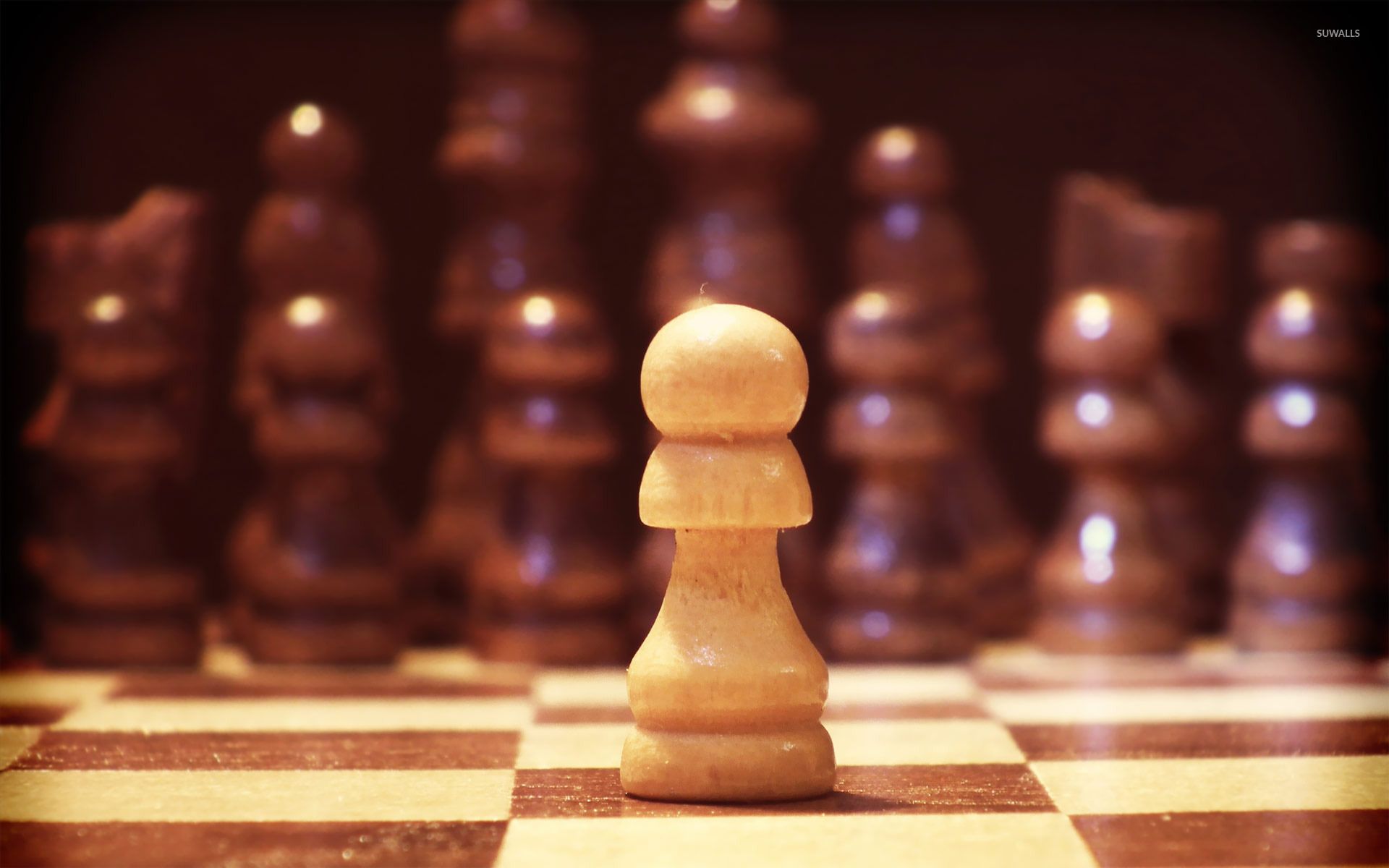 1920x1200 Pawn wallpaper wallpaper