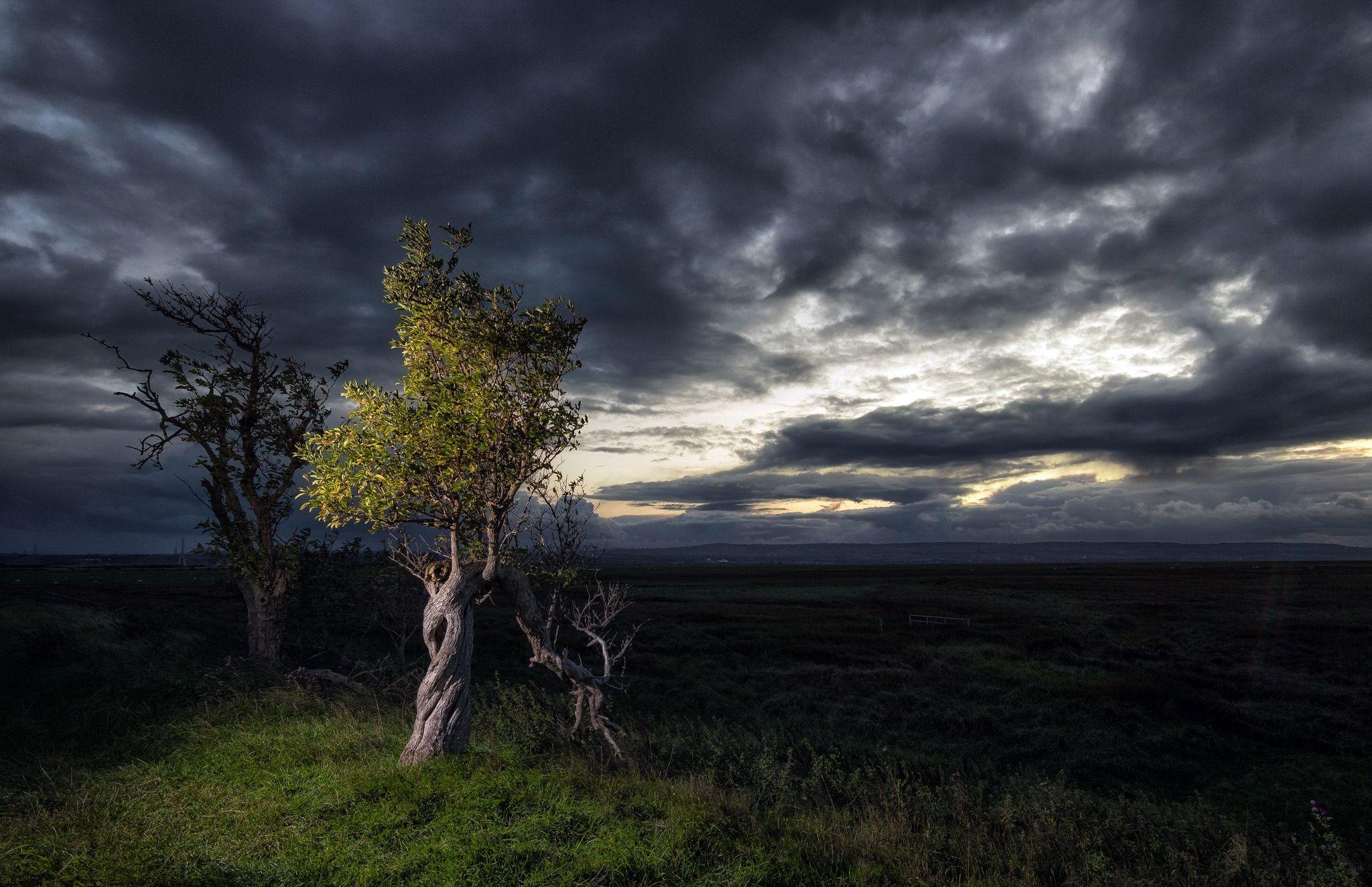 2048x1325 Dark, Sky, Clouds, Plants, Landscape 4k HD Wallpaper