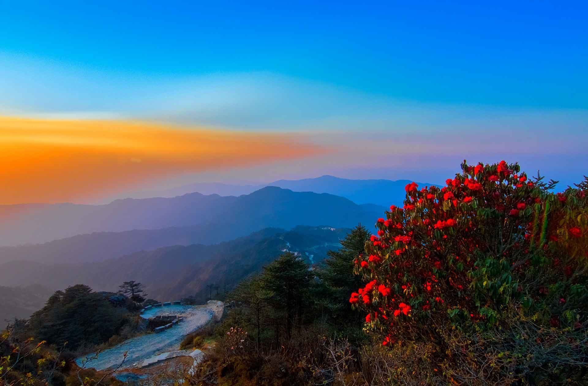 1920x1262 Go Northeast on X: Beautiful Northeast india Singalila National Park Darjeeling, West Bengal