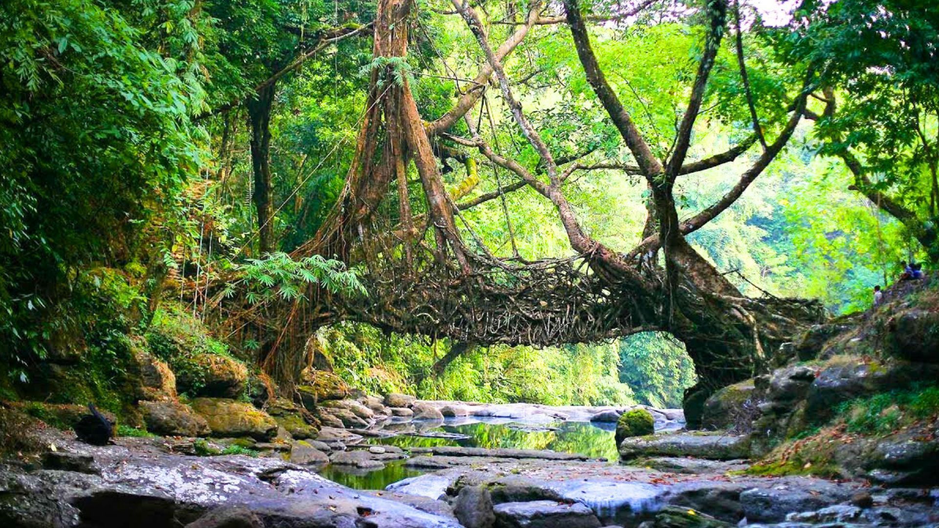 1920x1080 Best Places To Visit In Northeast India In 2025 Travel Blog