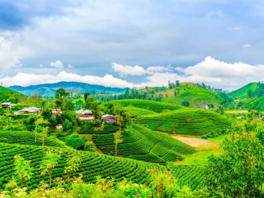 1024x768 Getting Around North East India: A Guide to Transportation Travel Blog