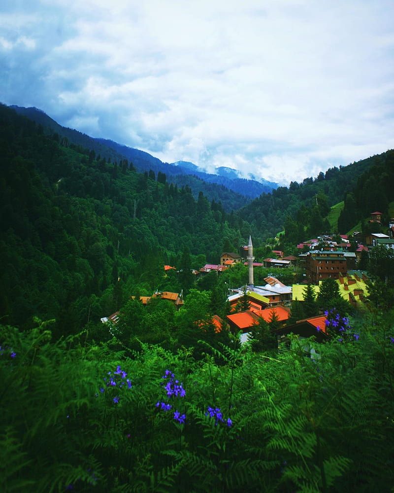 800x1000 HD a village in turkey wallpaper