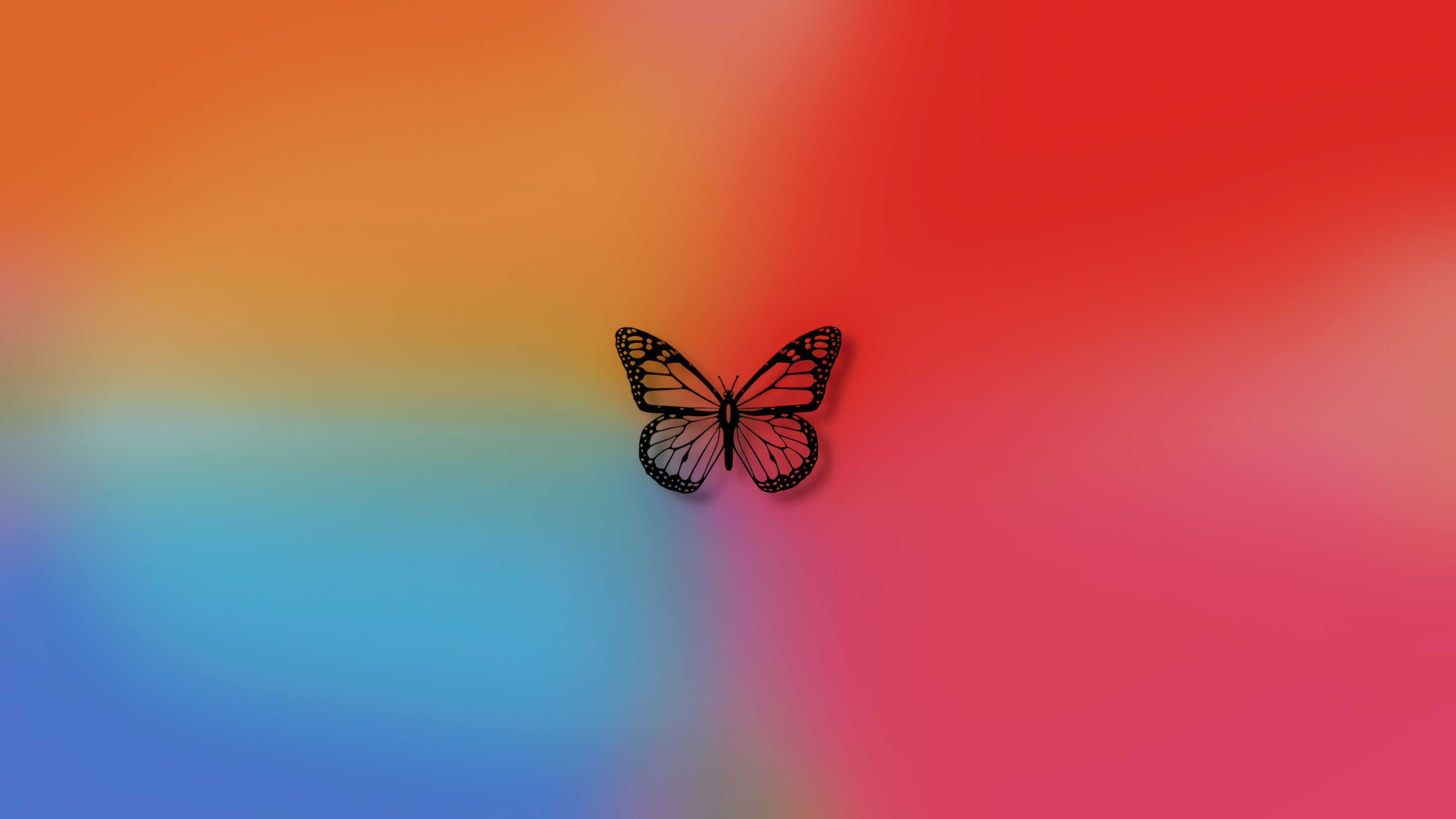 3840x2160 Butterfly Background Wallpaper 4K HD PC a